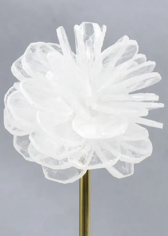 White Rose Artefact