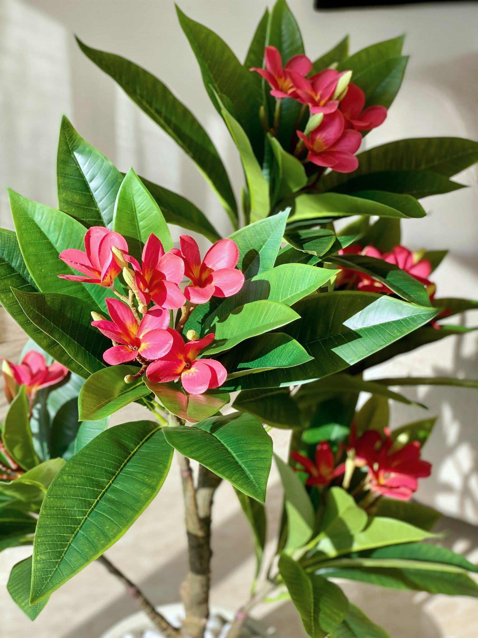 Artificial Frangipani Puce Plant - 3 Feet