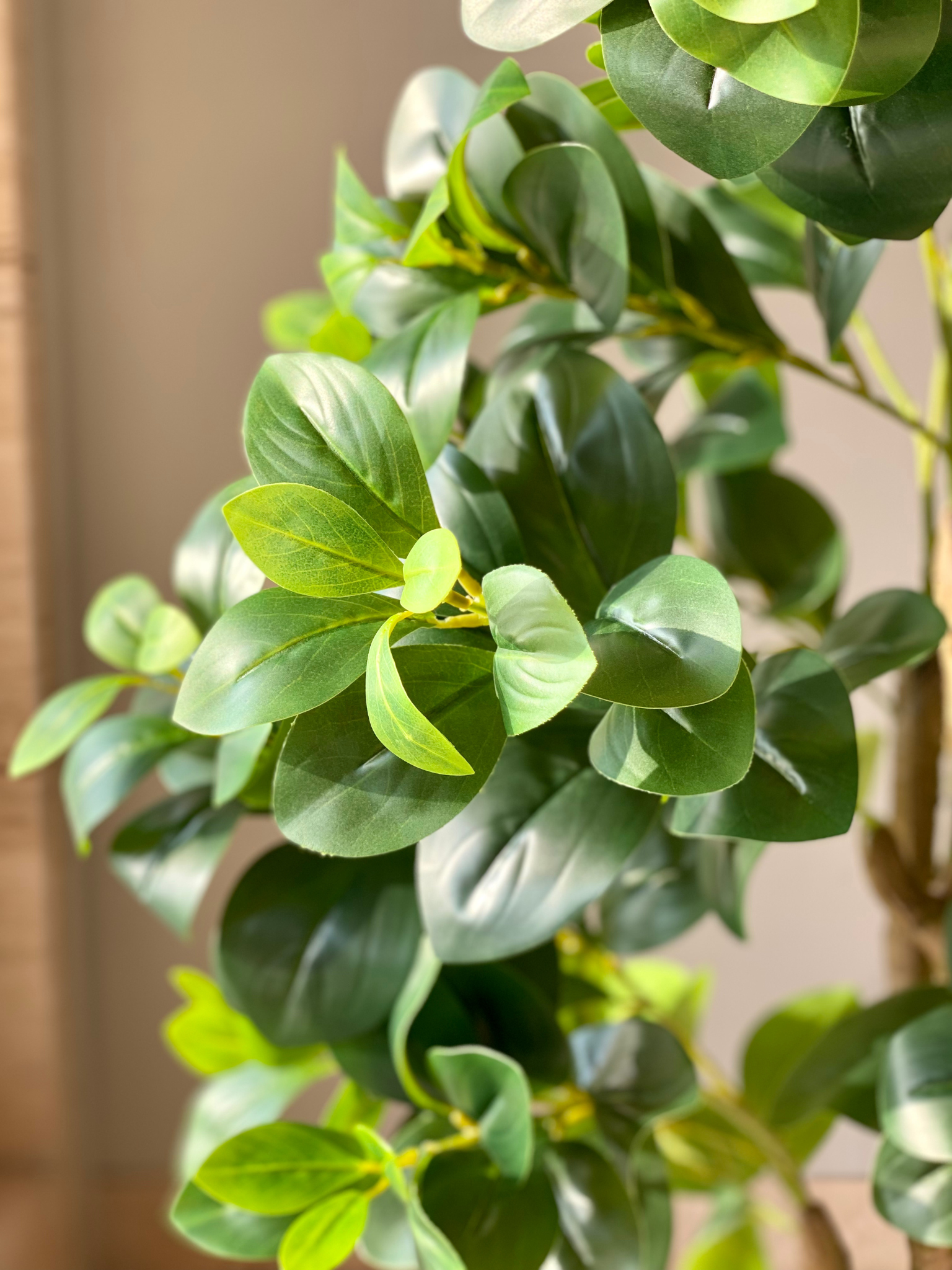 Artificial Peperomia Plant - 4 Feet