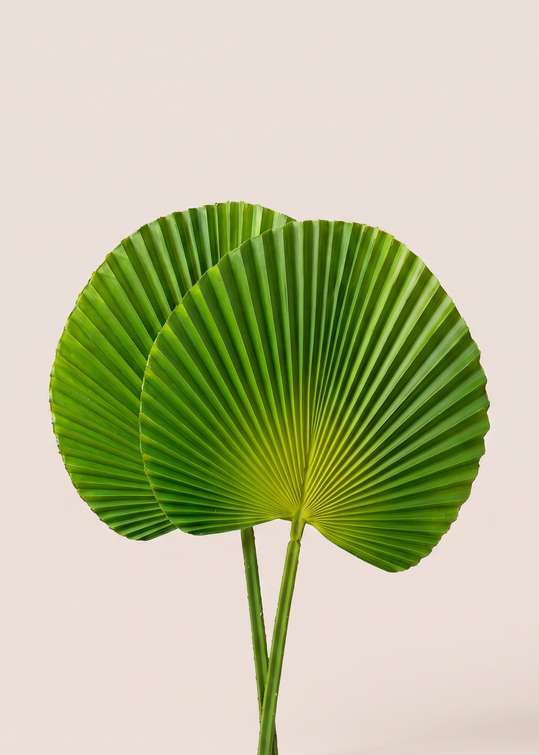 Artificial Fan Palm Sticks - Set of 2