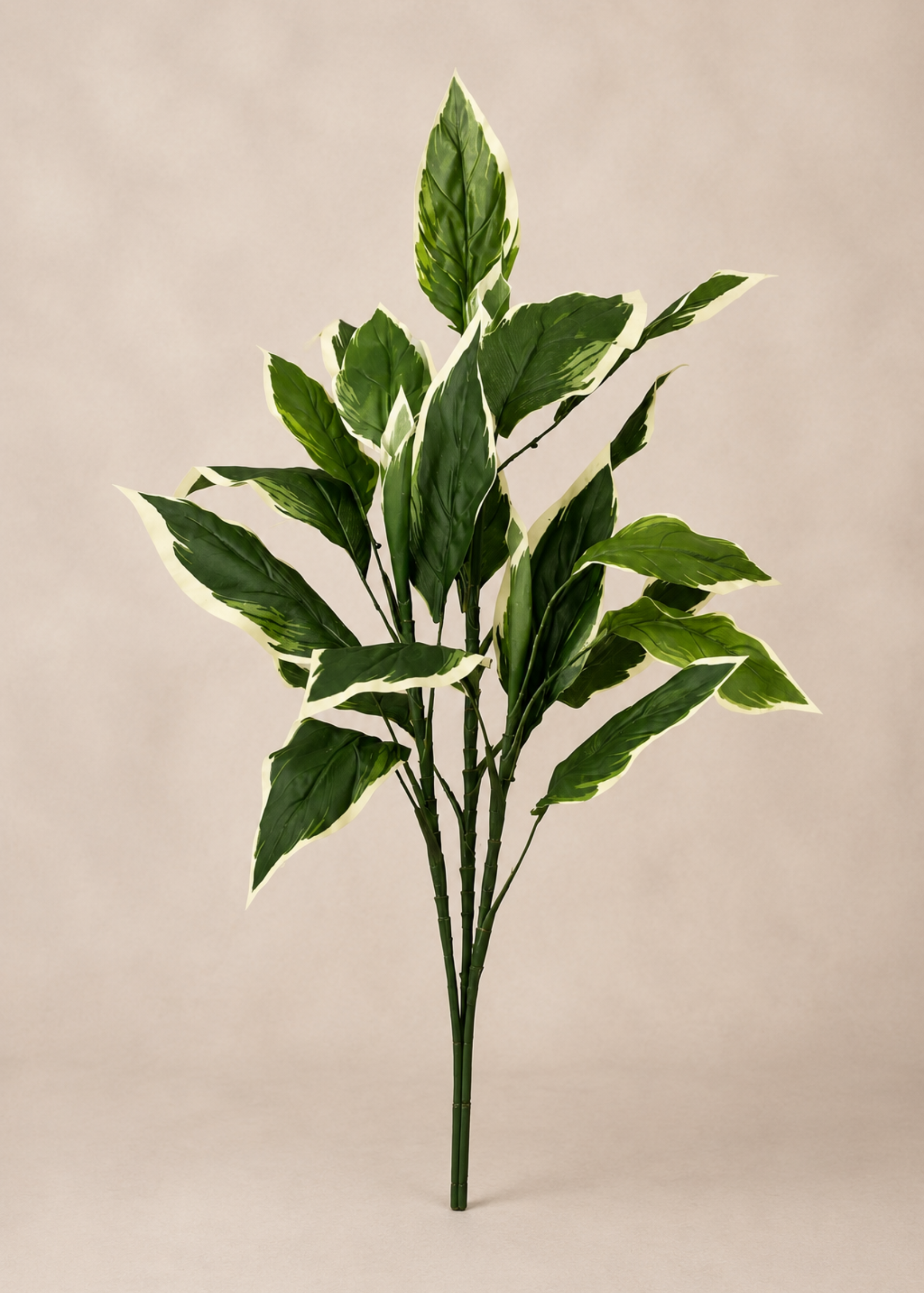 Artificial Hosta Plant - 3.5 Feet