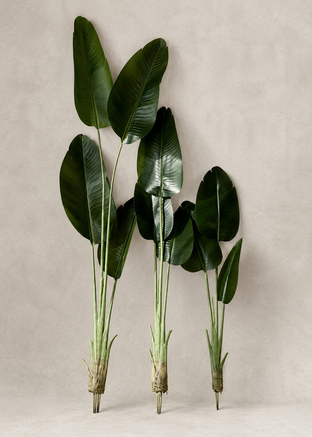 Artificial Cavendish Traveller Plant - 6 Feet