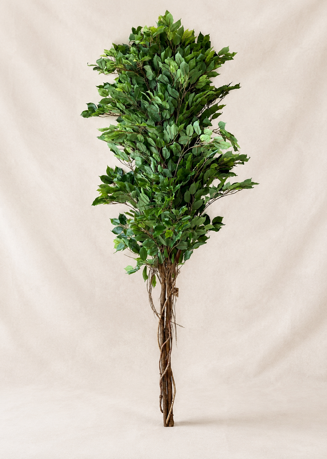 Artificial Aerial Root Ficus Plant - 6.5 Feet