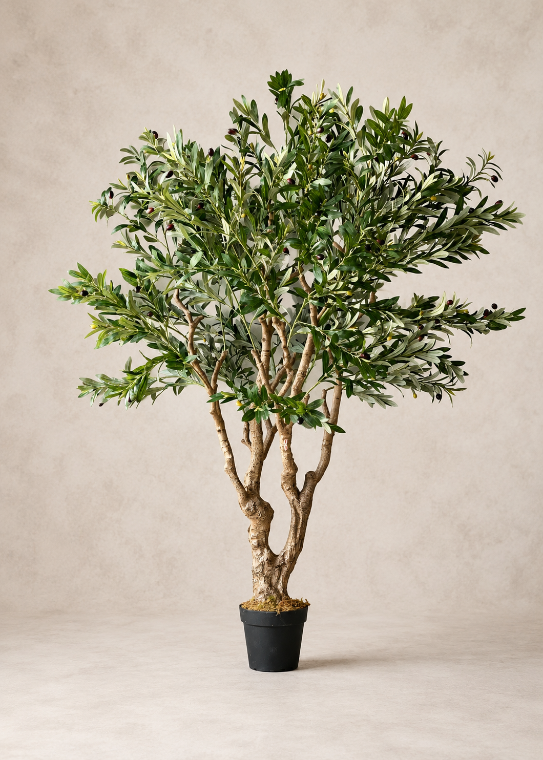 Artificial Olive Allure Plant - 6 Feet
