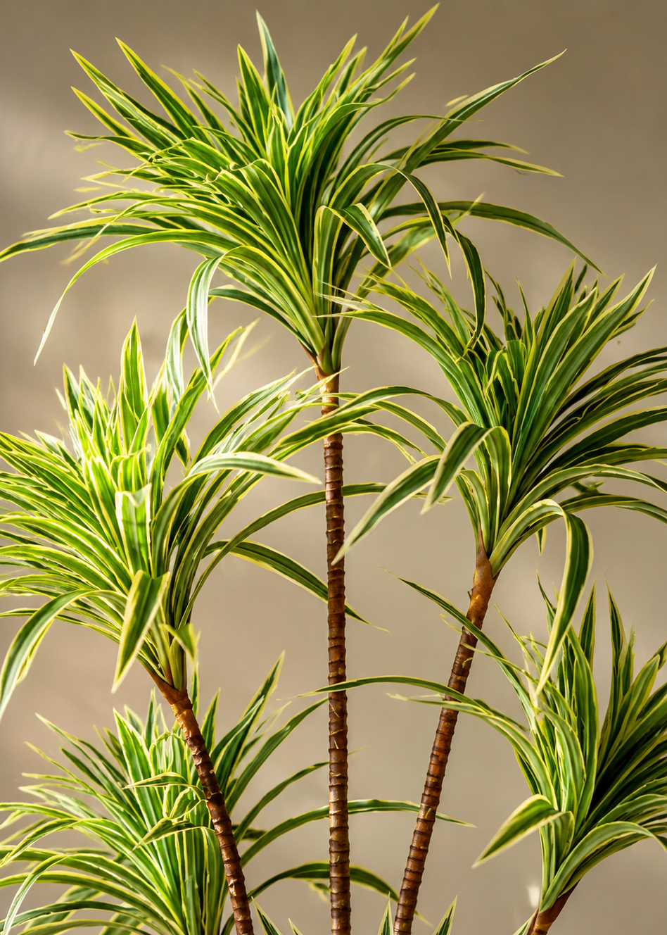 Artificial Spider Palm Tree (4 Feet)