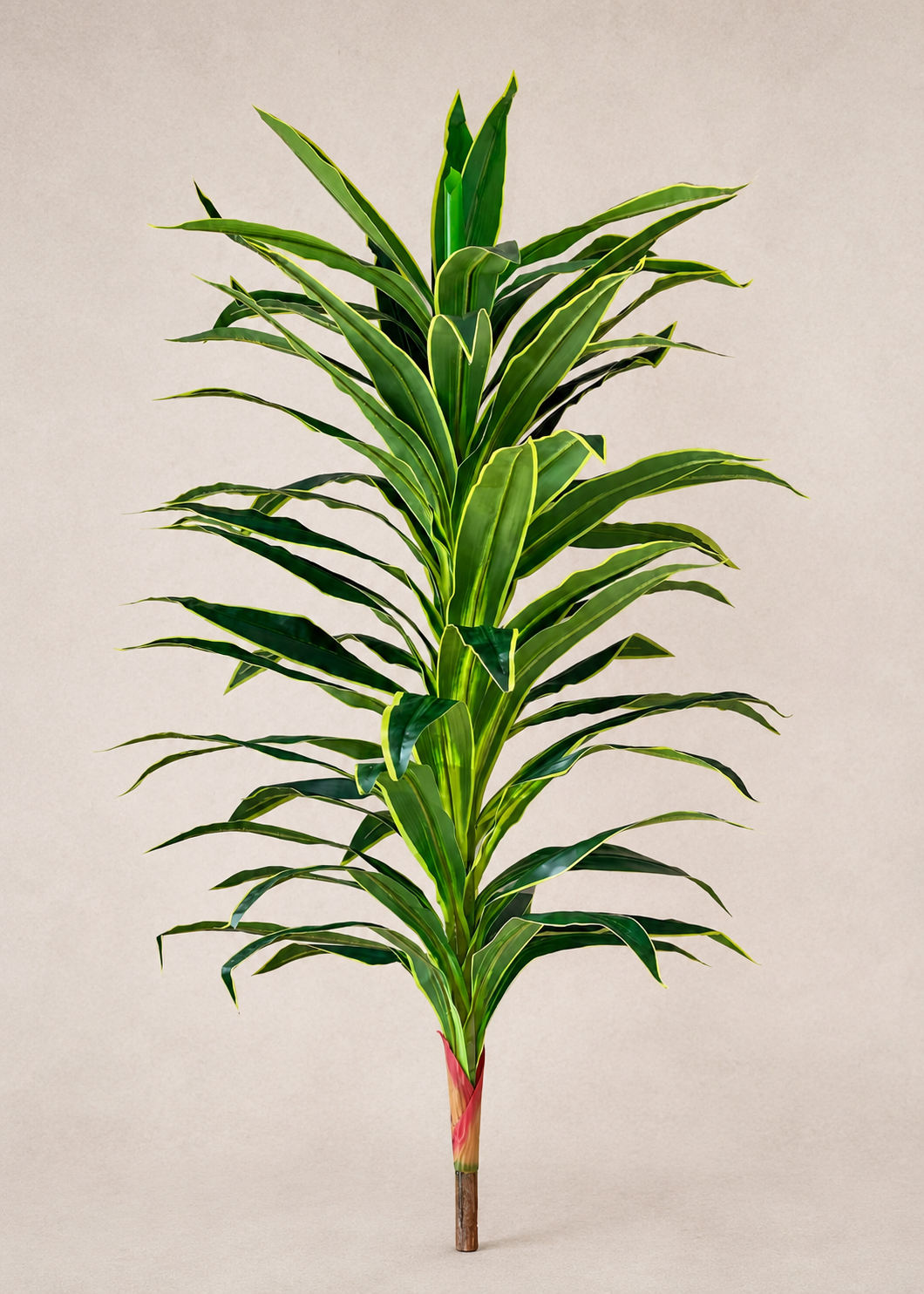 Artificial Variegated Dracaena Plant - 5.5 Feet