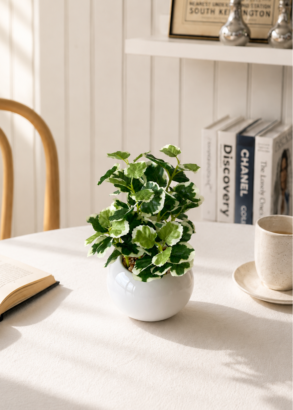 Artificial Variegated Swedish Ivy Plant