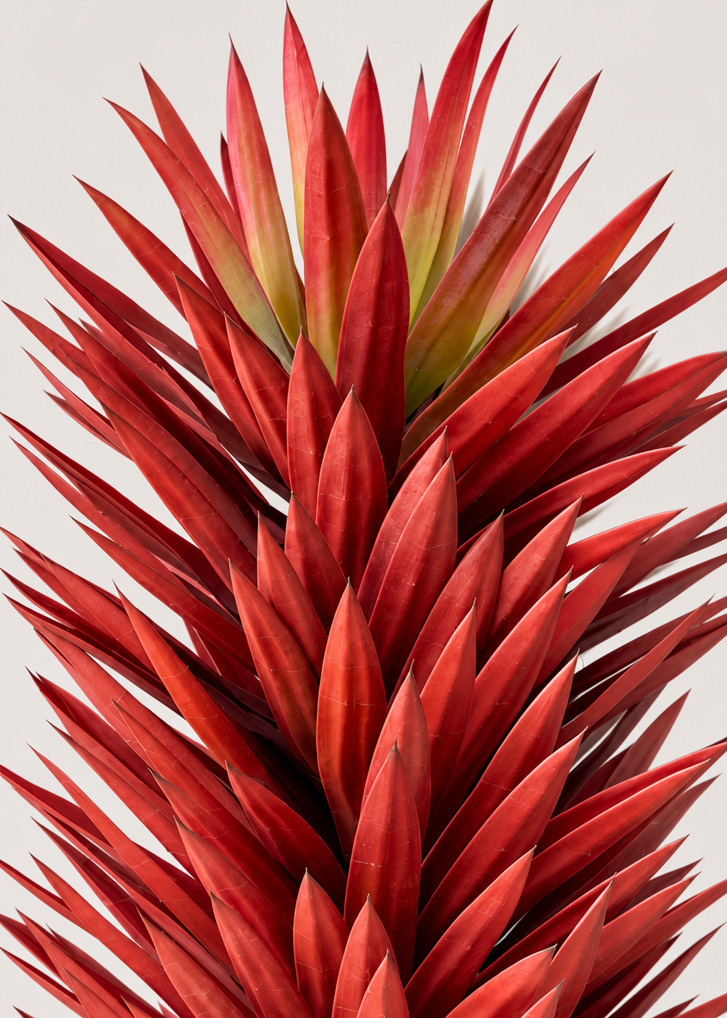 Artificial Red Chiba Agave Plant - 3.6 Feet