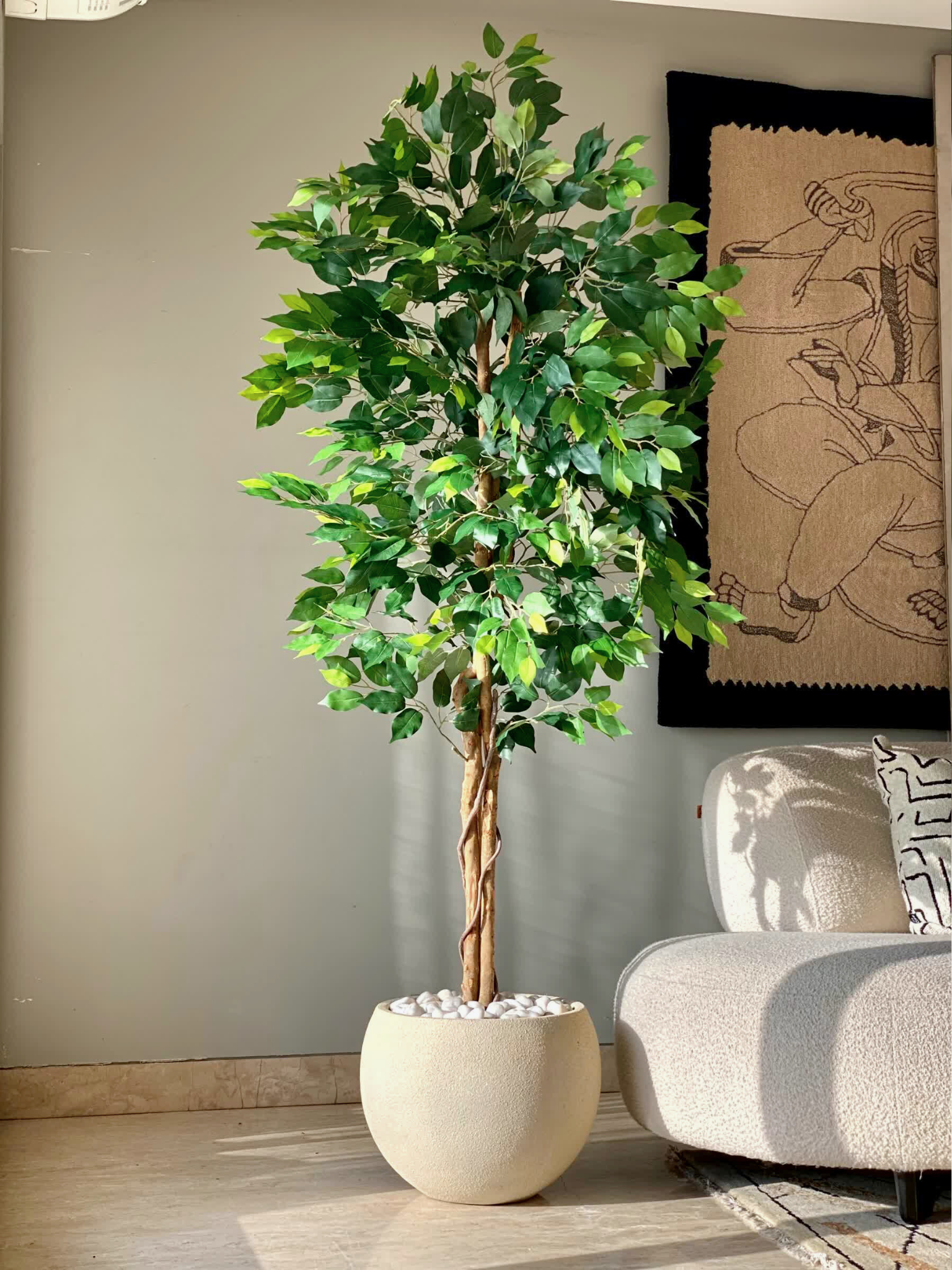 Artificial Dried Ficus Plant - 6.5 Feet