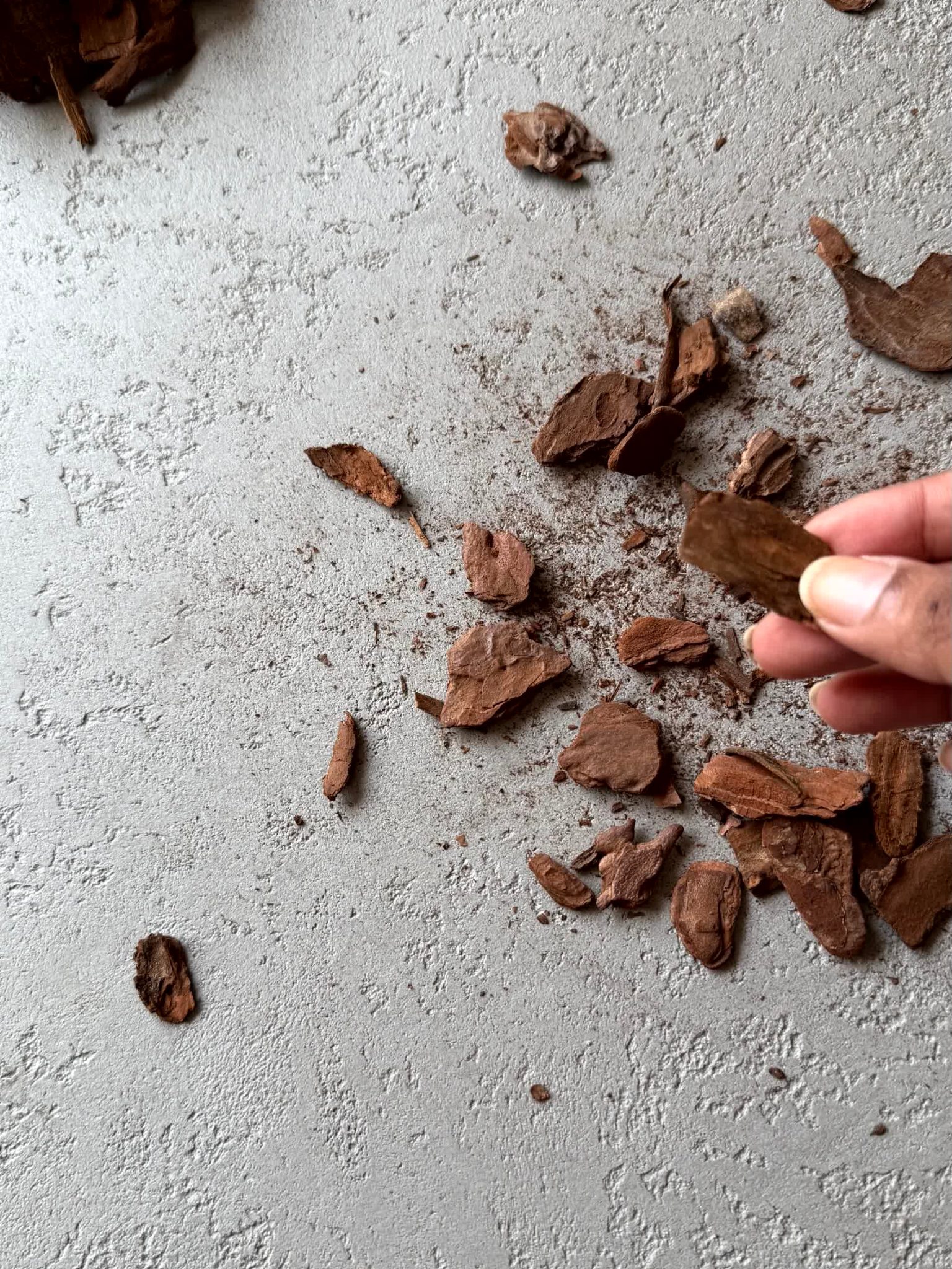 Wood Bark Chips - (Pack of 4)
