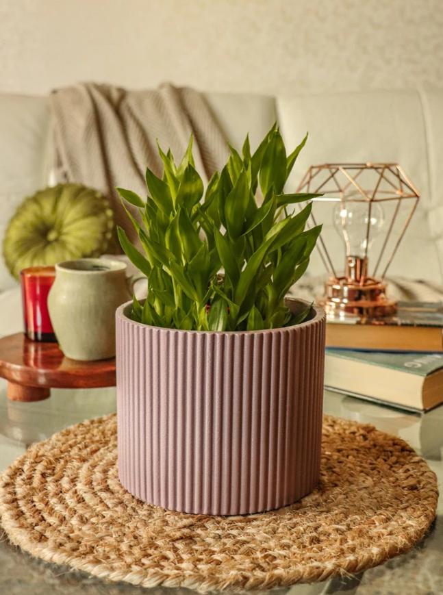 Small Midori Planter - Nude Pink