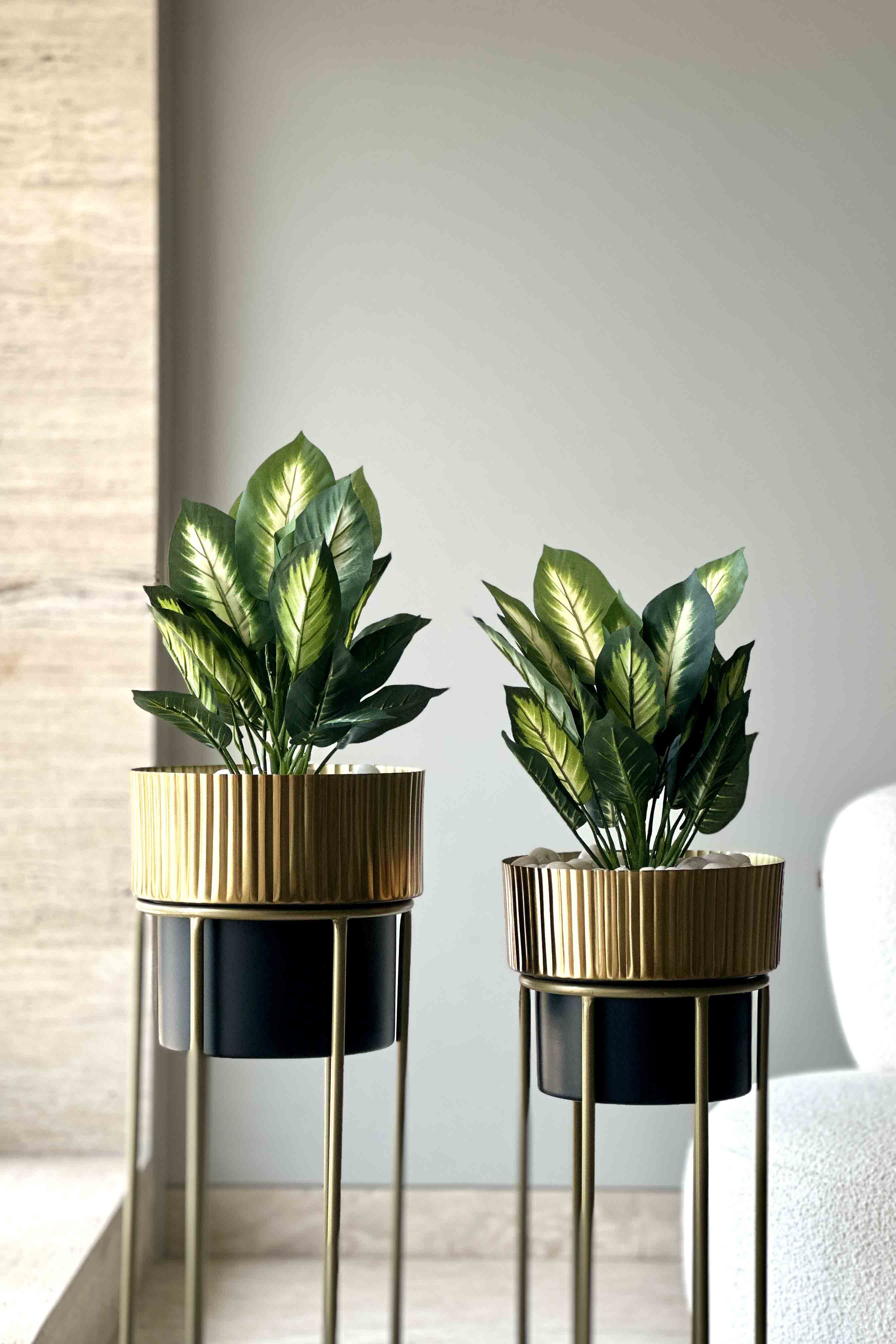Artificial Peace Lilly Green Set Of 2 - 1.5 Feet (Set Of 2)