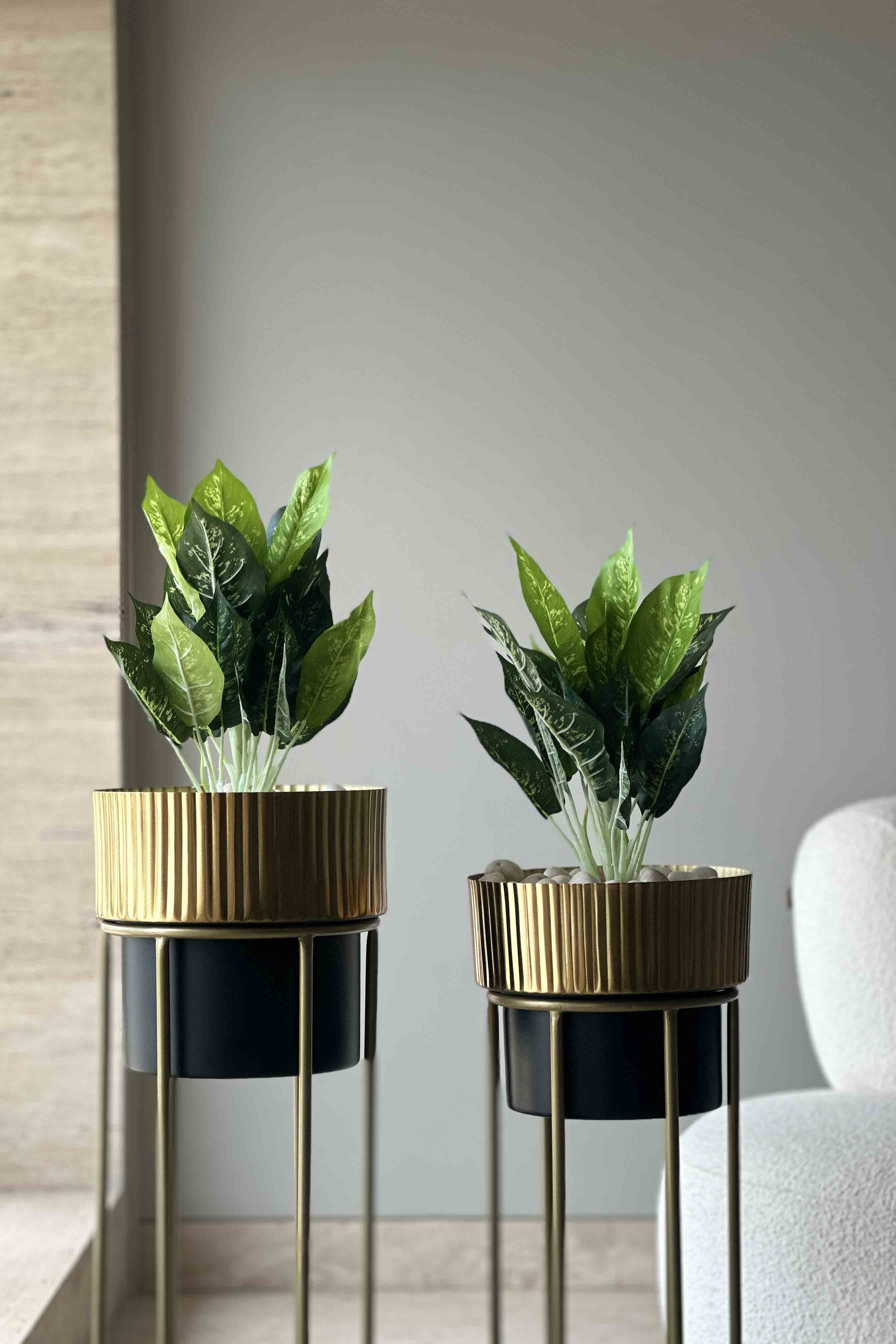 Artificial Peace Lilly Light Green - 1.5 Feet (Set Of 2)