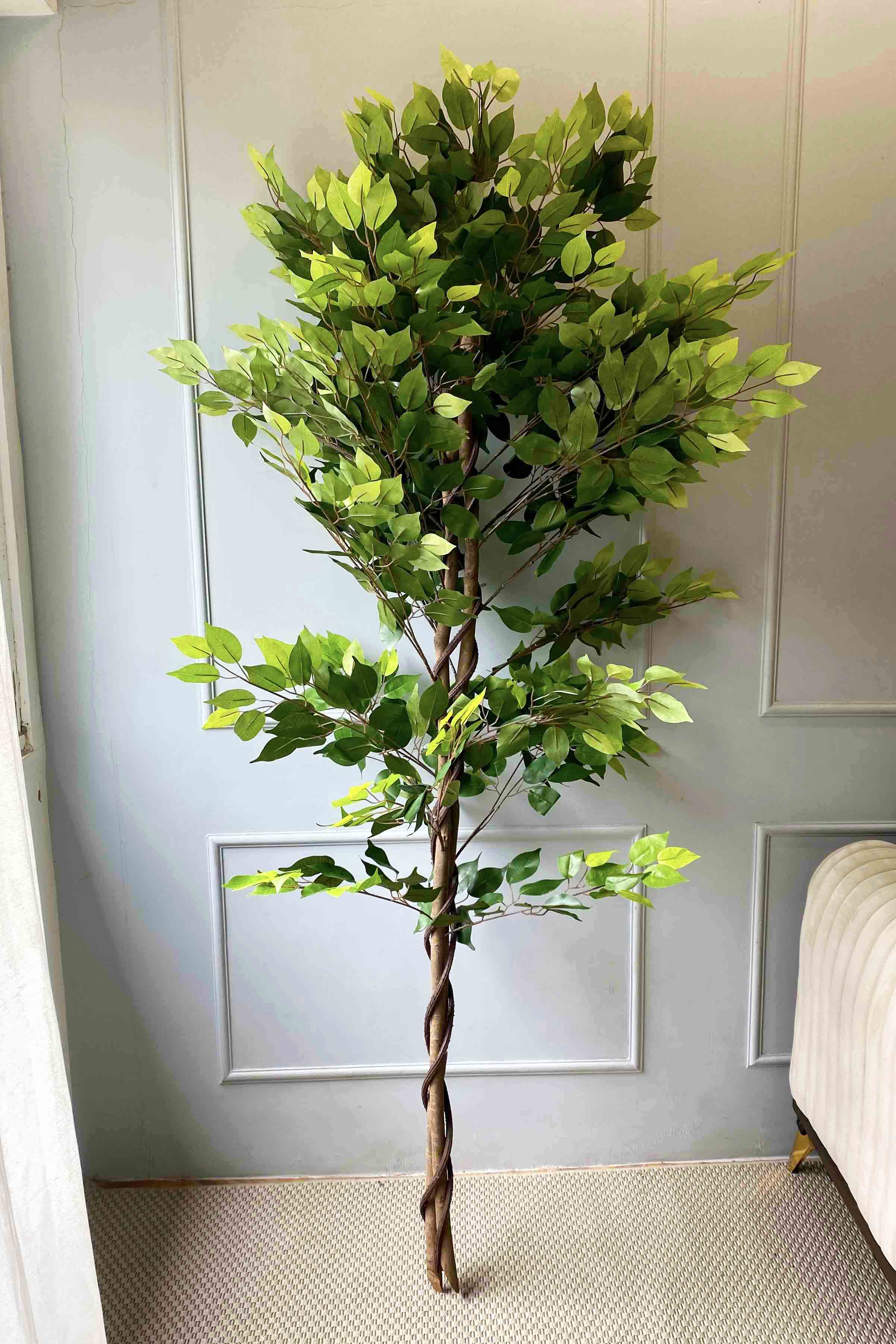 Artificial Weeping Ficus - 6 Feet