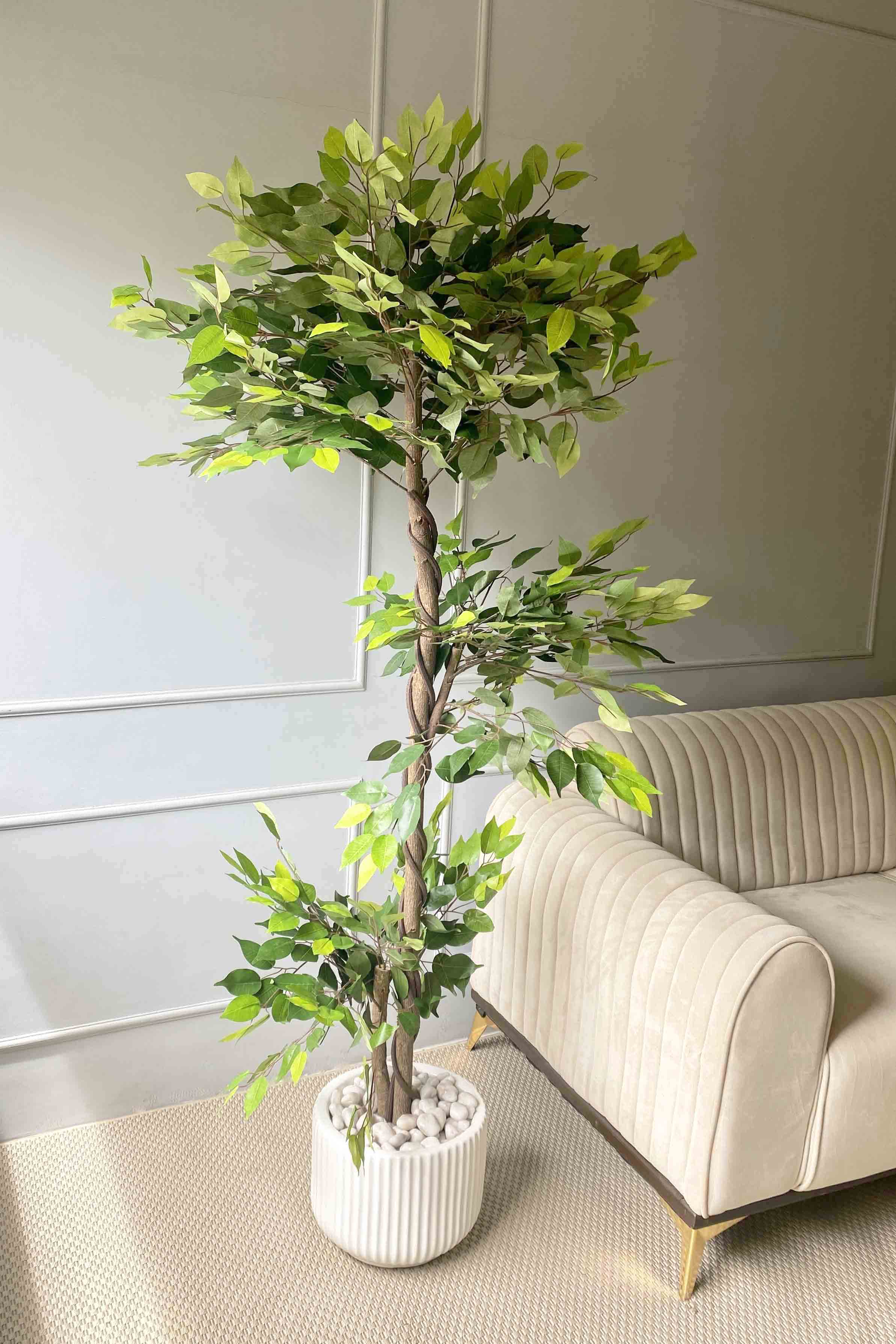 Artificial Tropical 3 Tier Ficus - 5.5 Feet