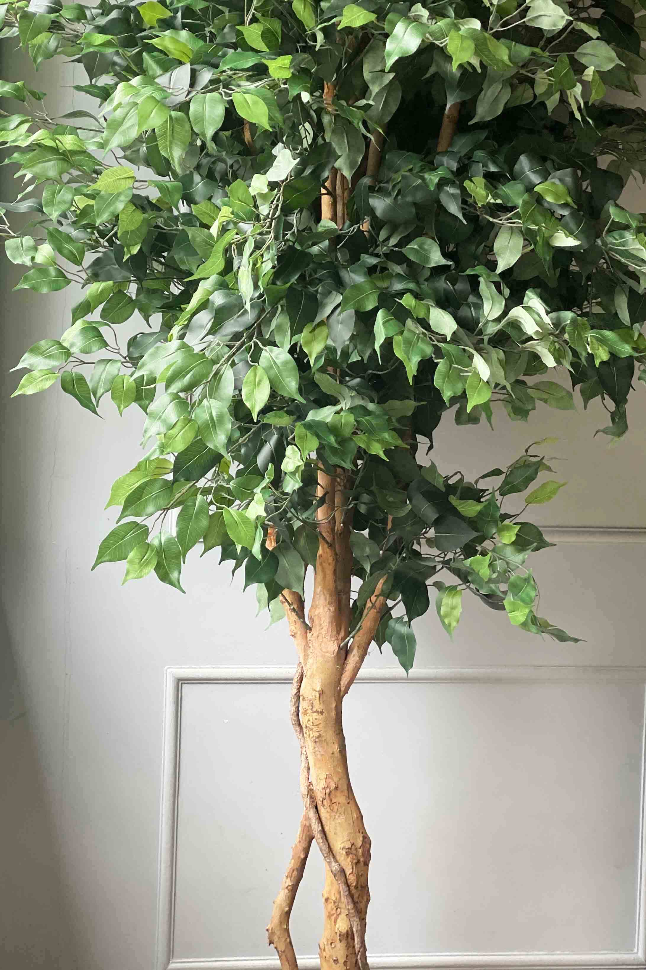 Artificial Lush Ficus - 8 Feet