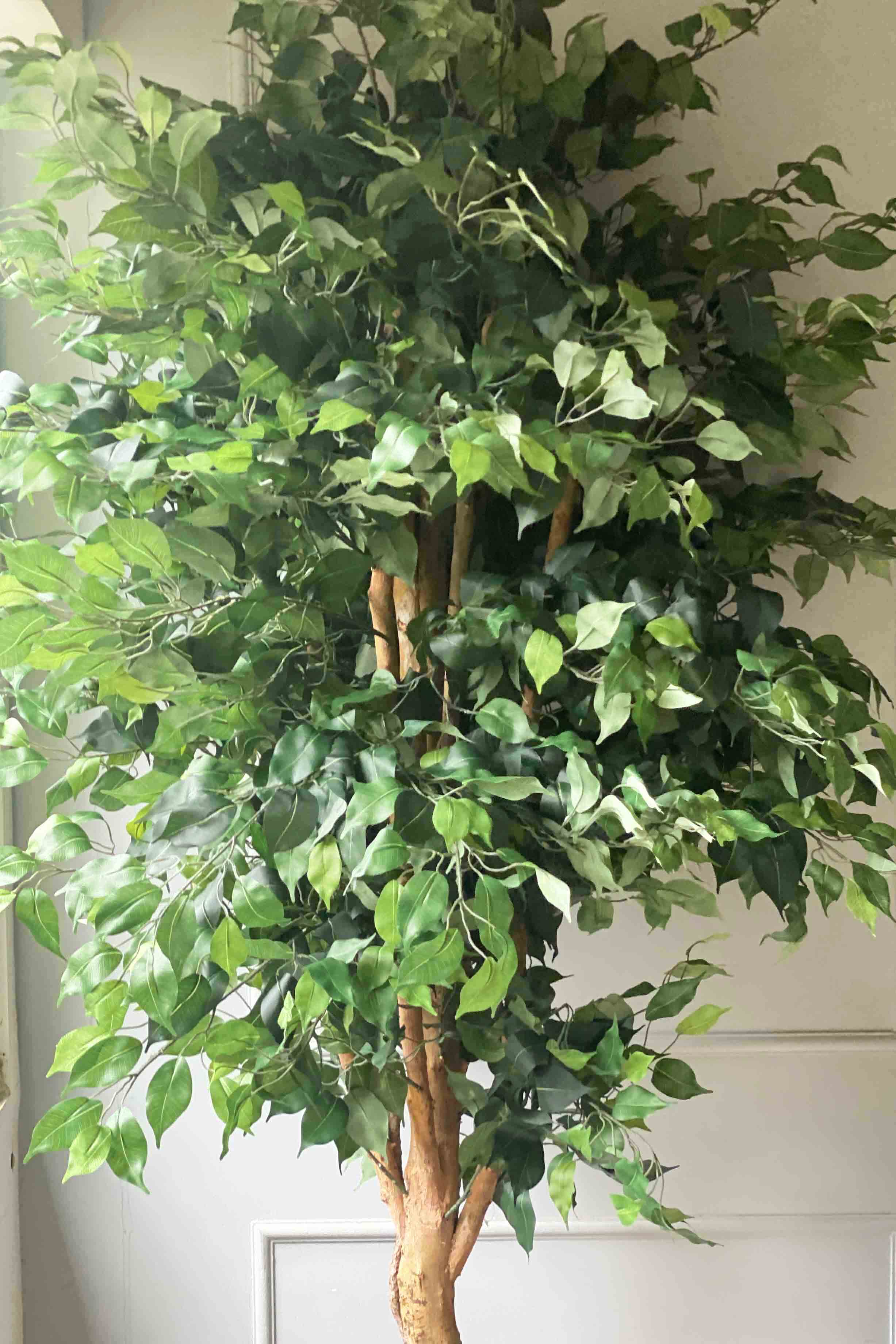 Artificial Lush Ficus - 8 Feet