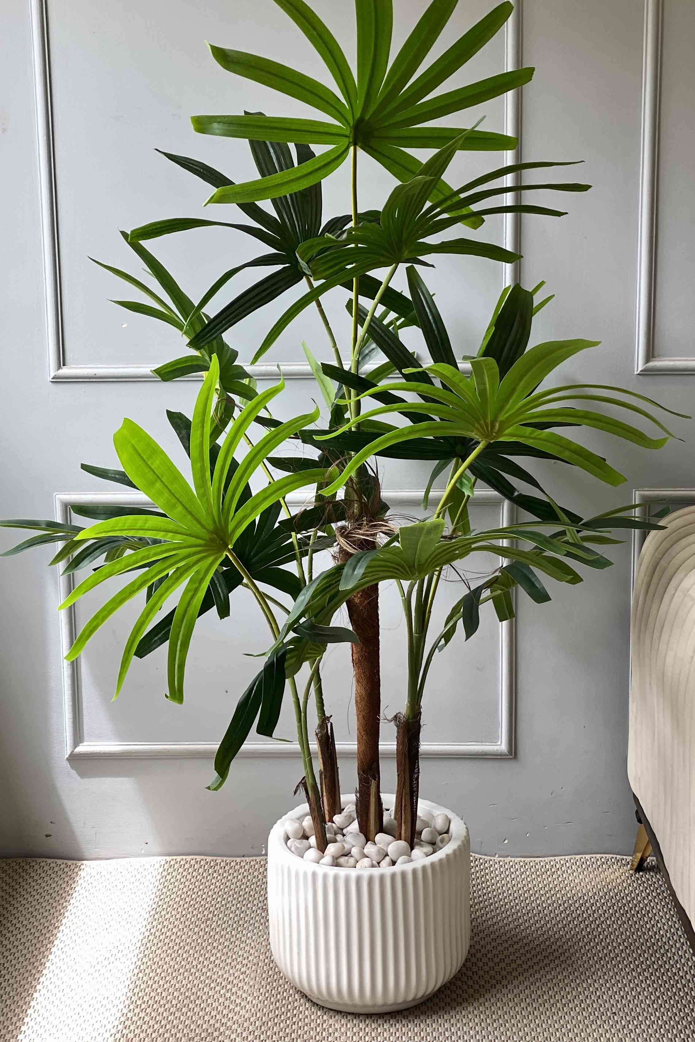 Artificial Raphis Palm Sticks - 4.5 Feet