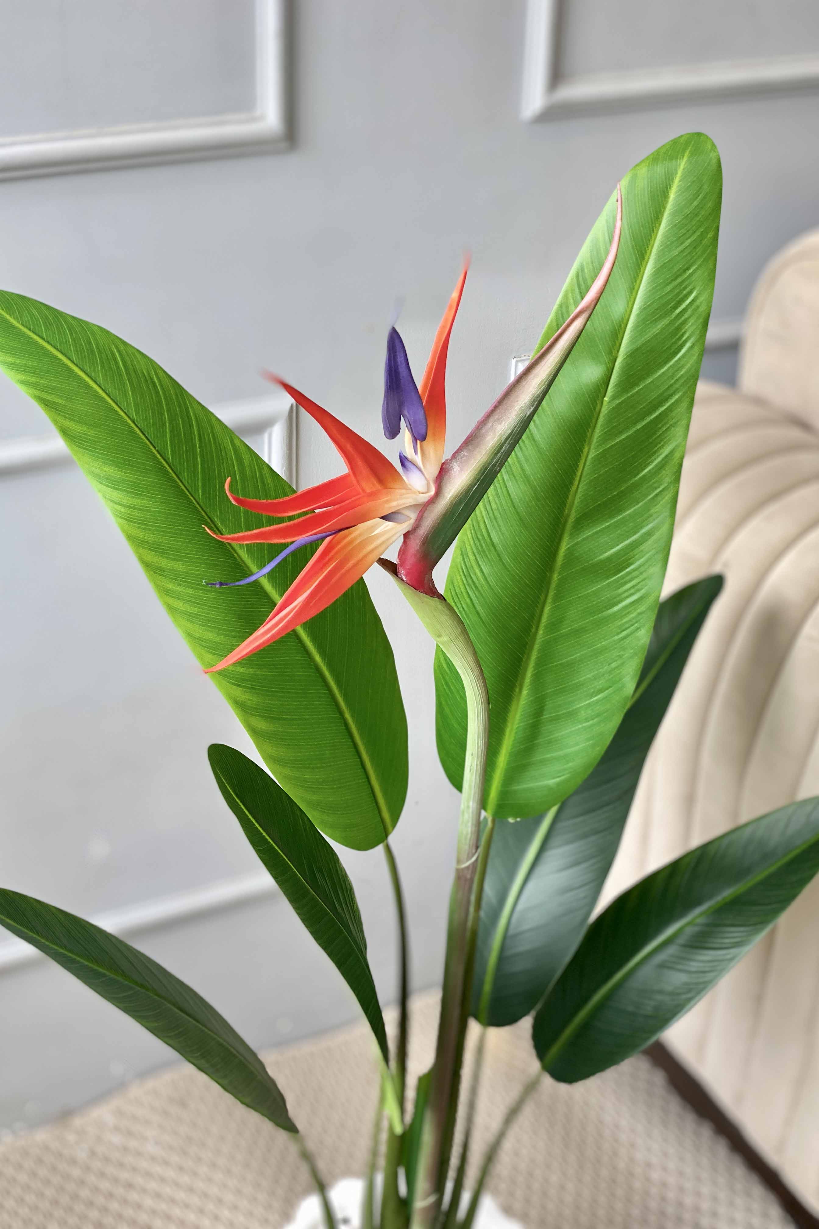 Artificial Bird Of Paradise Plant - 3 Feet