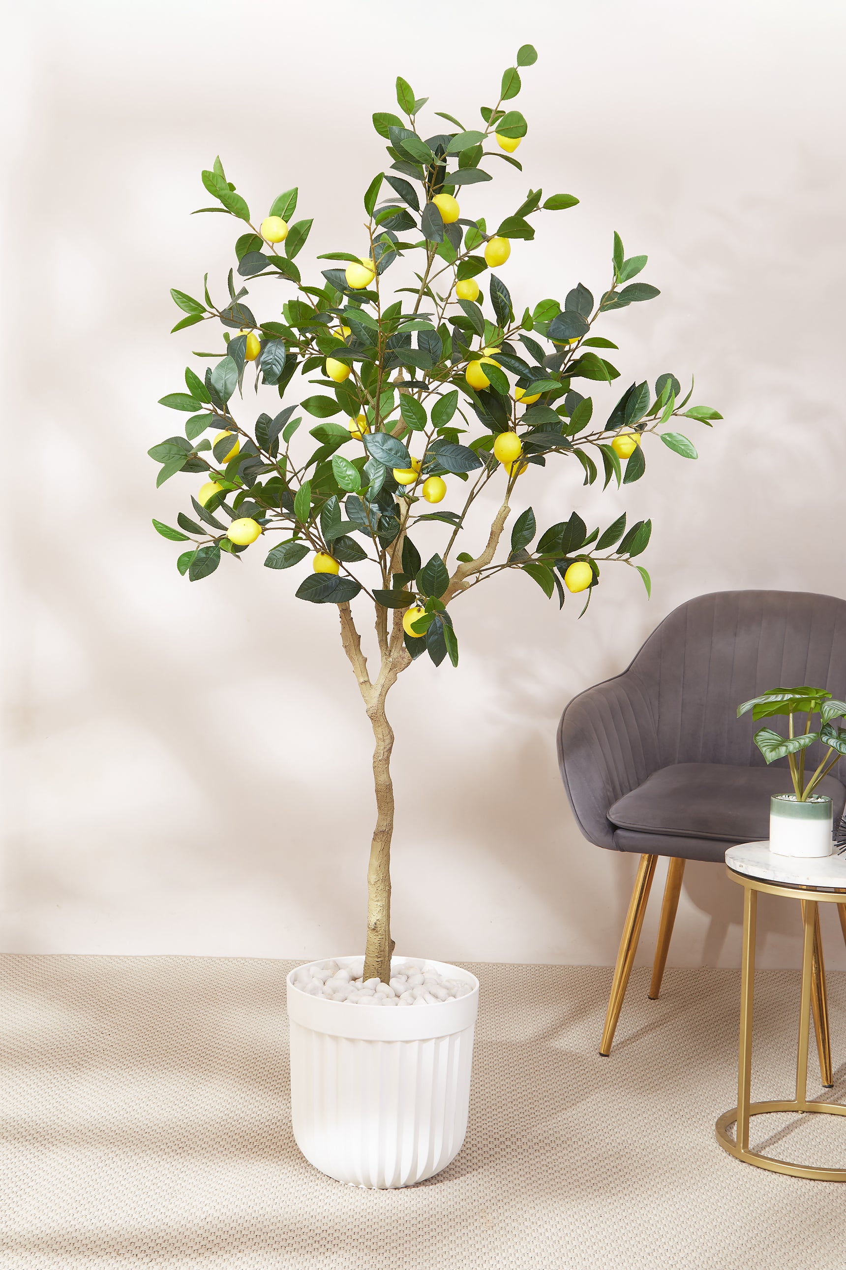 Artificial Lush Lemon Plant - 5.5 Feet (With Black Base Pot)