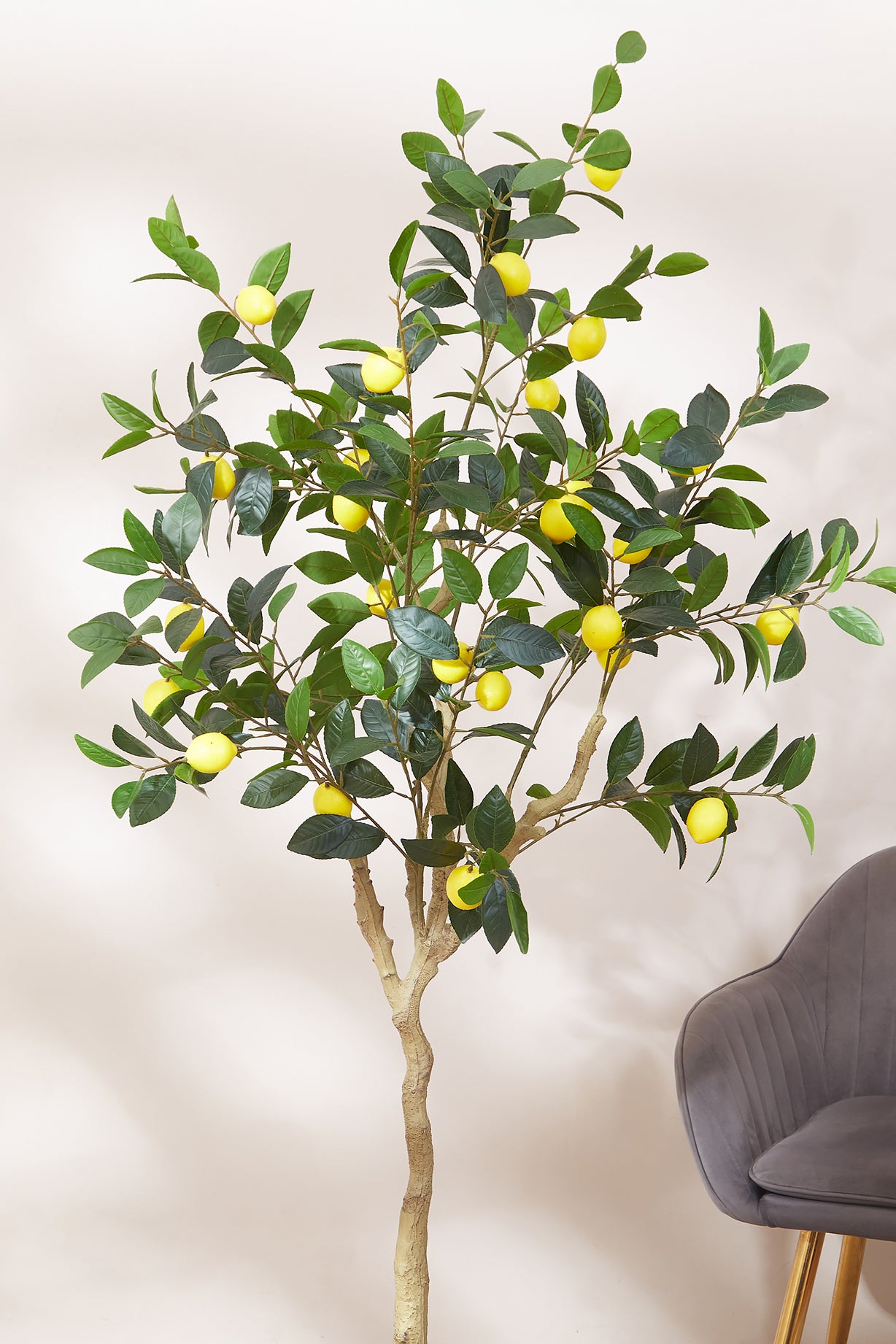 Artificial Lush Lemon Plant - 5.5 Feet (With Black Base Pot)