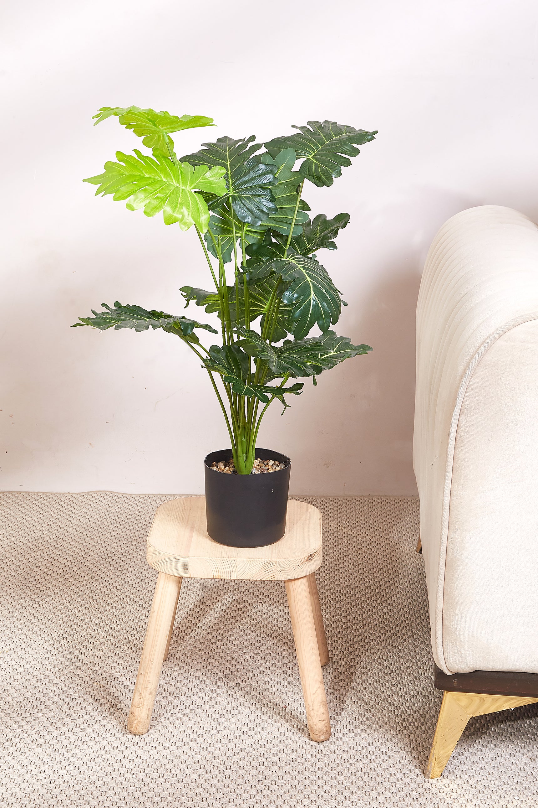 Artificial Philodendron Plant - 2 Feet (With Black Base Pot)