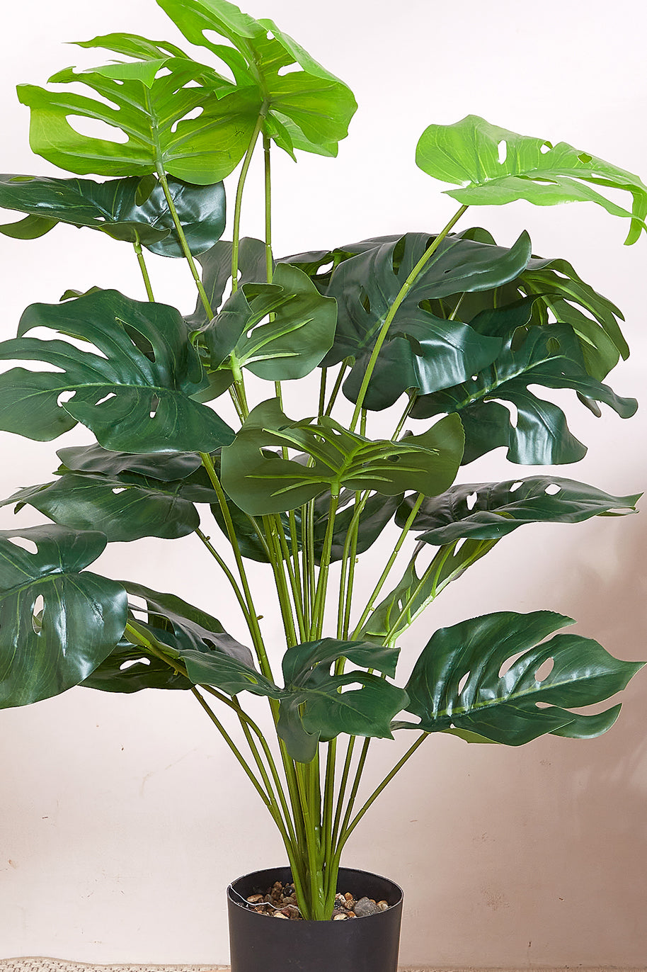 Artificial Monstera Plant - 60 cm  (With Black Base Pot)