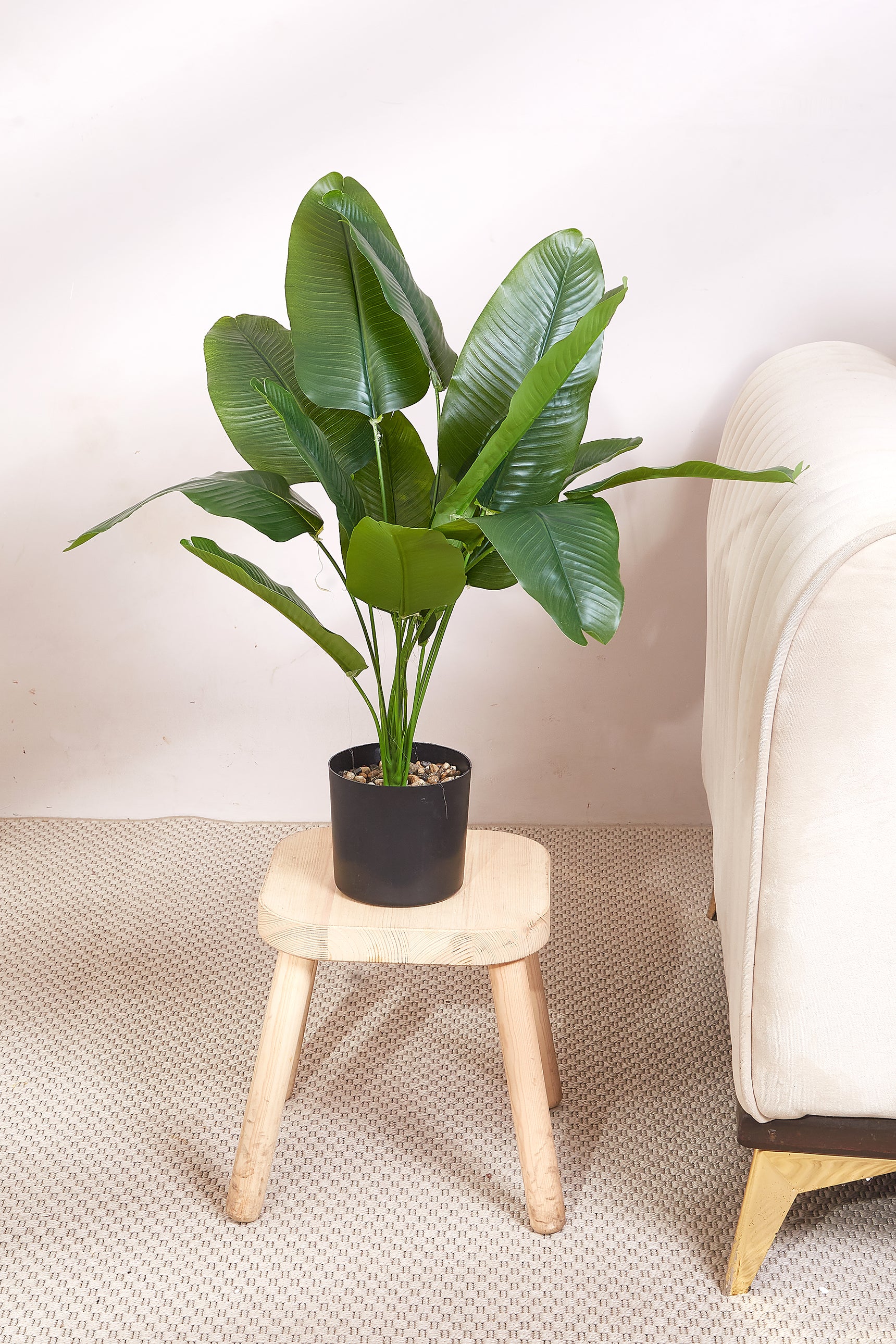 Artificial Birds Of Paradise Plant - 2 Feet (With Black Base Pot)