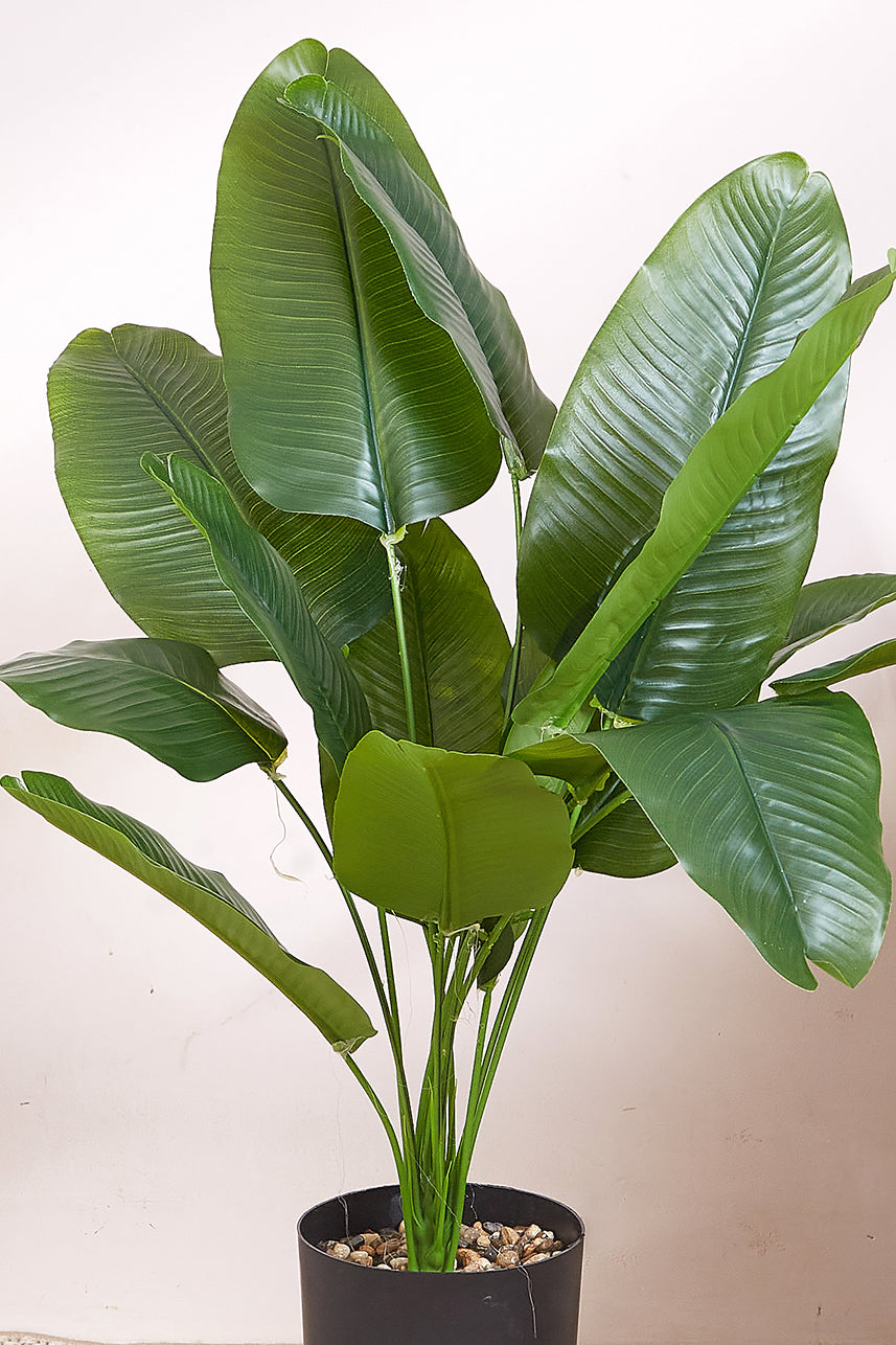 Artificial Birds Of Paradise Plant - 2 Feet (With Black Base Pot)