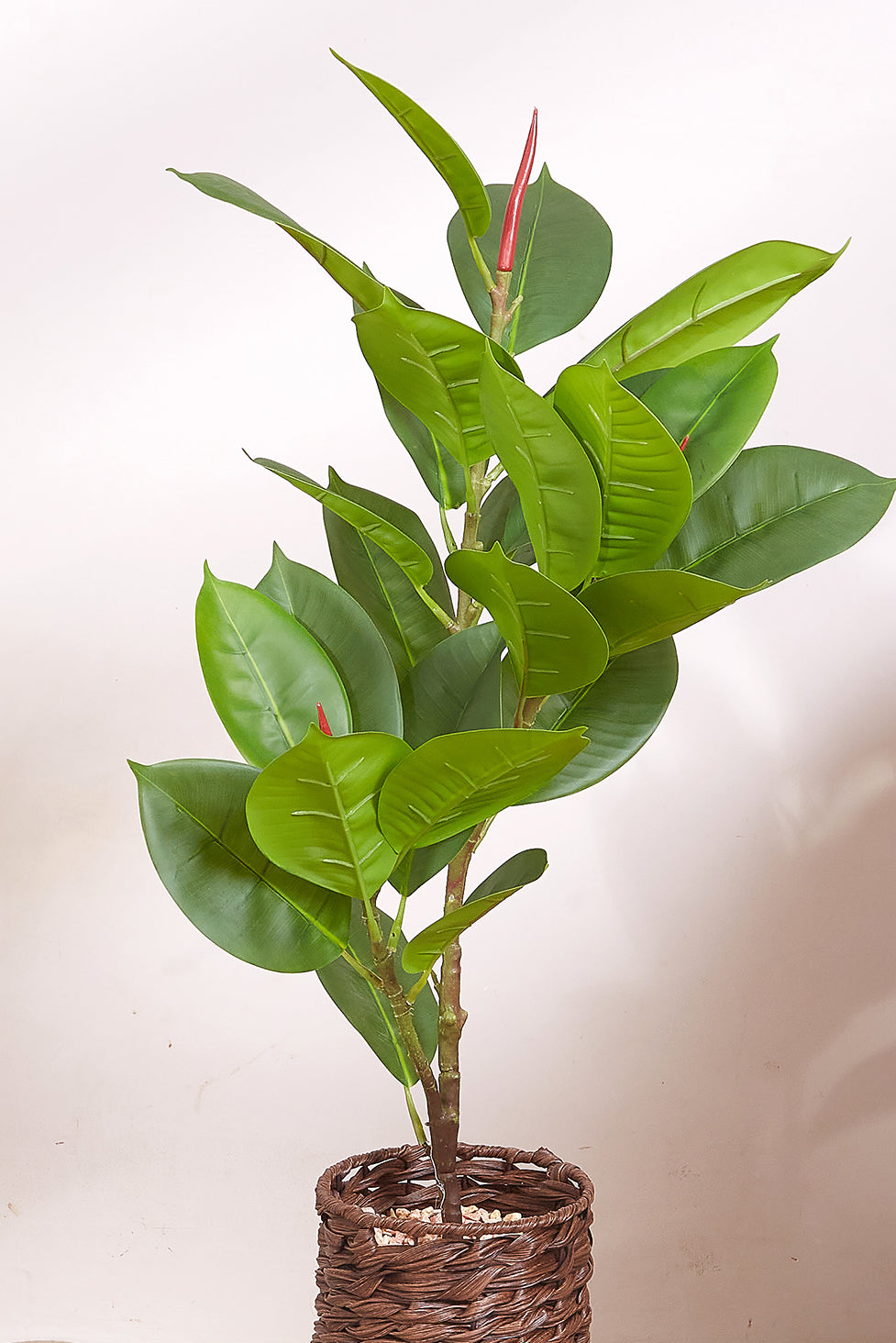 Rattan Oasis Artificial Rubber Plant - Tall