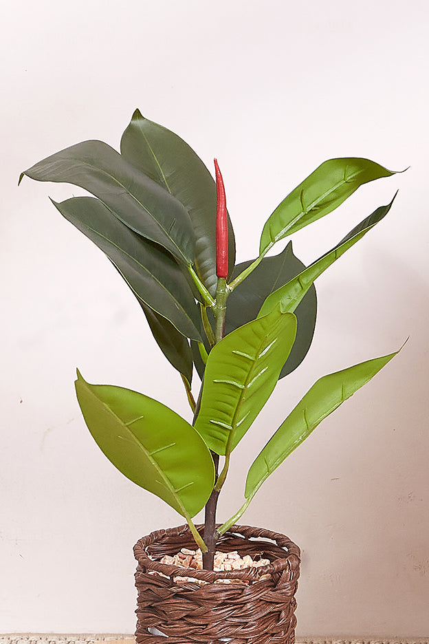 Rattan Oasis Artificial Fiddle Leaf Plant - Small