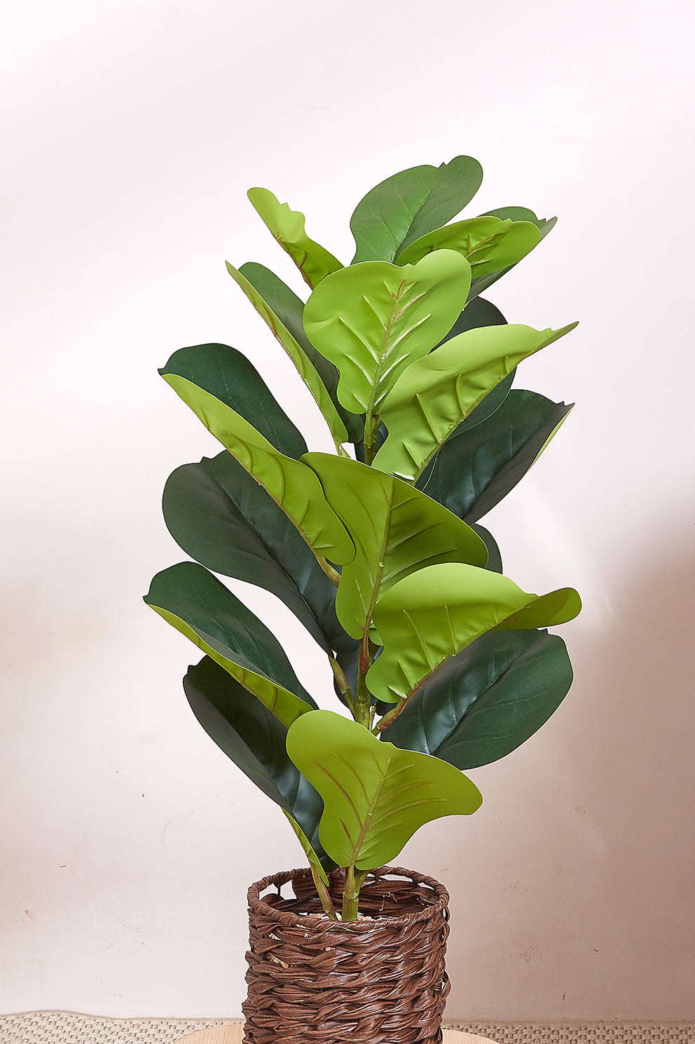 Brown Rattan Oasis Artificial Rubber Plant