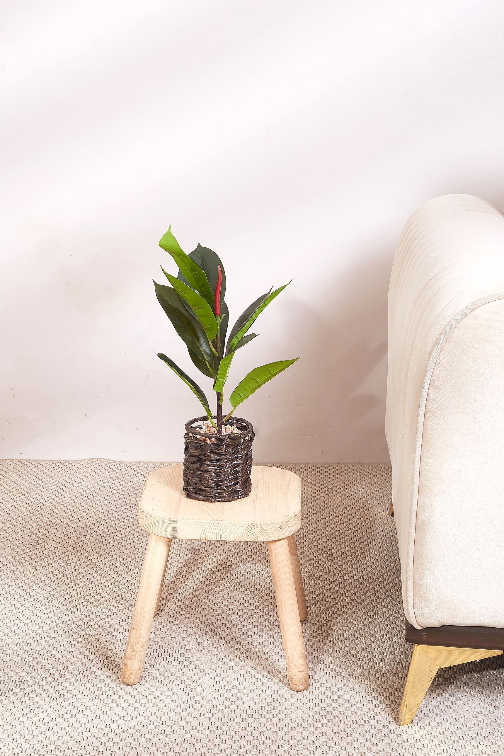Black Rattan Oasis Artificial Rubber Plant
