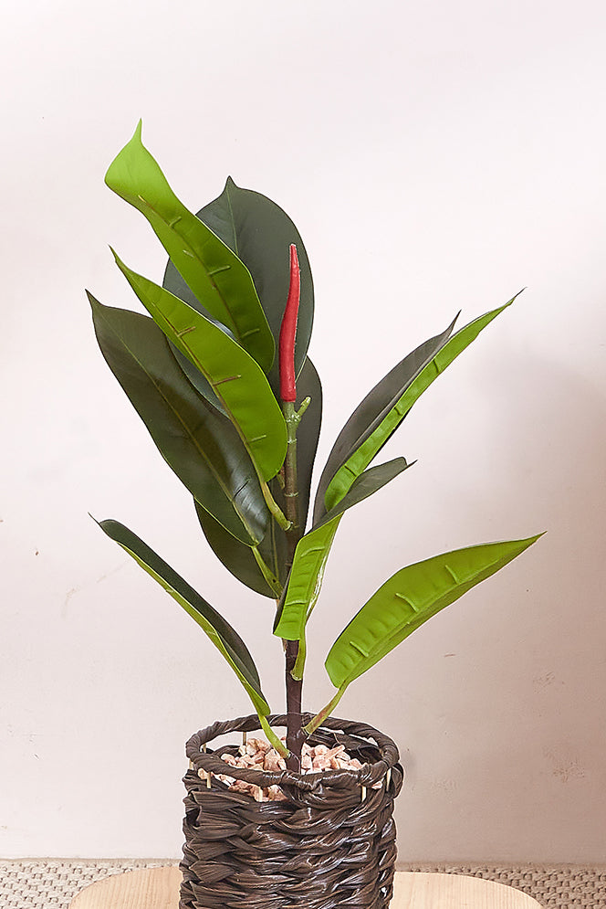 Black Rattan Oasis Artificial Rubber Plant