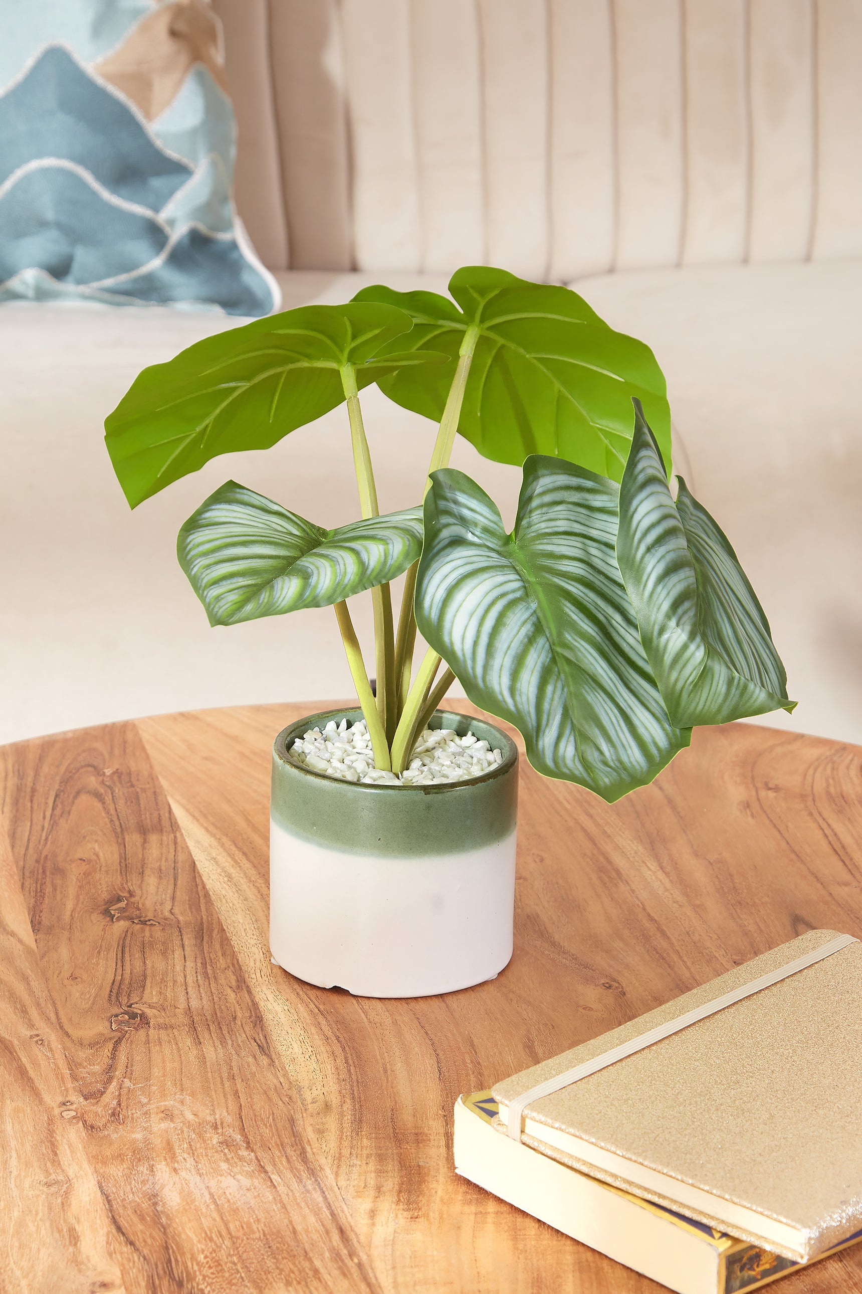 Artificial Short Plant- Calenthea Plant Ceramic Pot