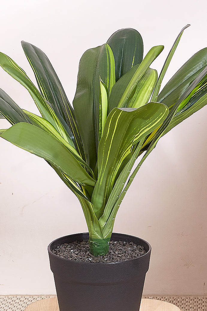 Artificial Short Plant- Lemon Lime Plant