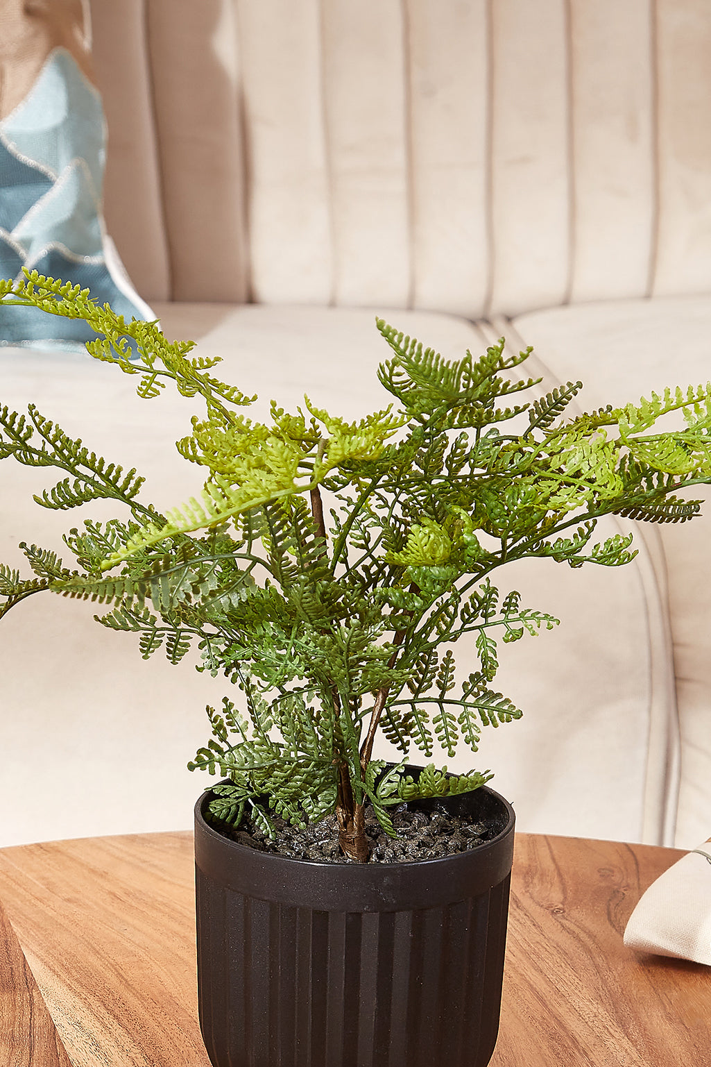 Artificial Short Plant- Fren In Ribbed Pot