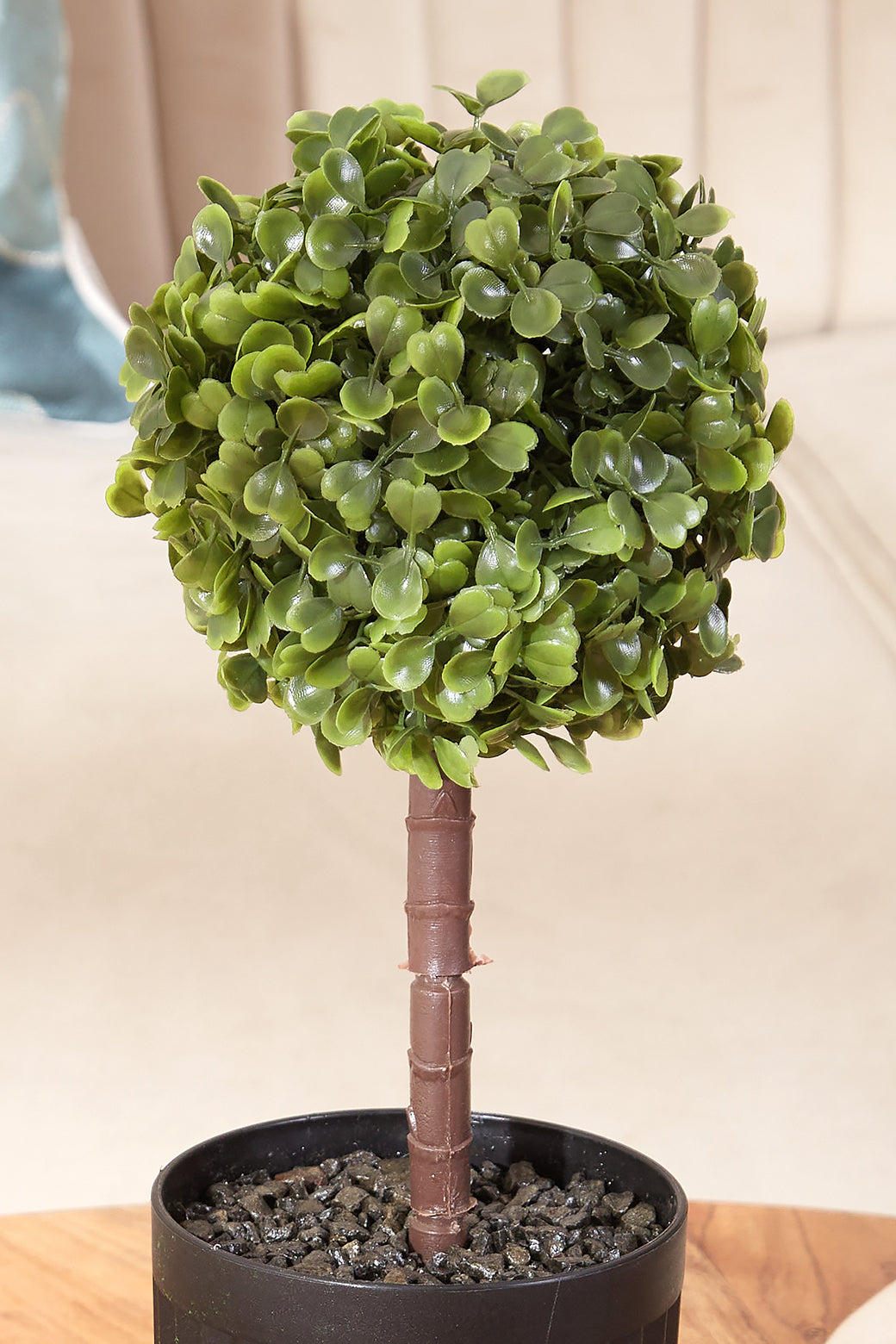 Artificial Short Plant- Boxwood In Ribbed Pot
