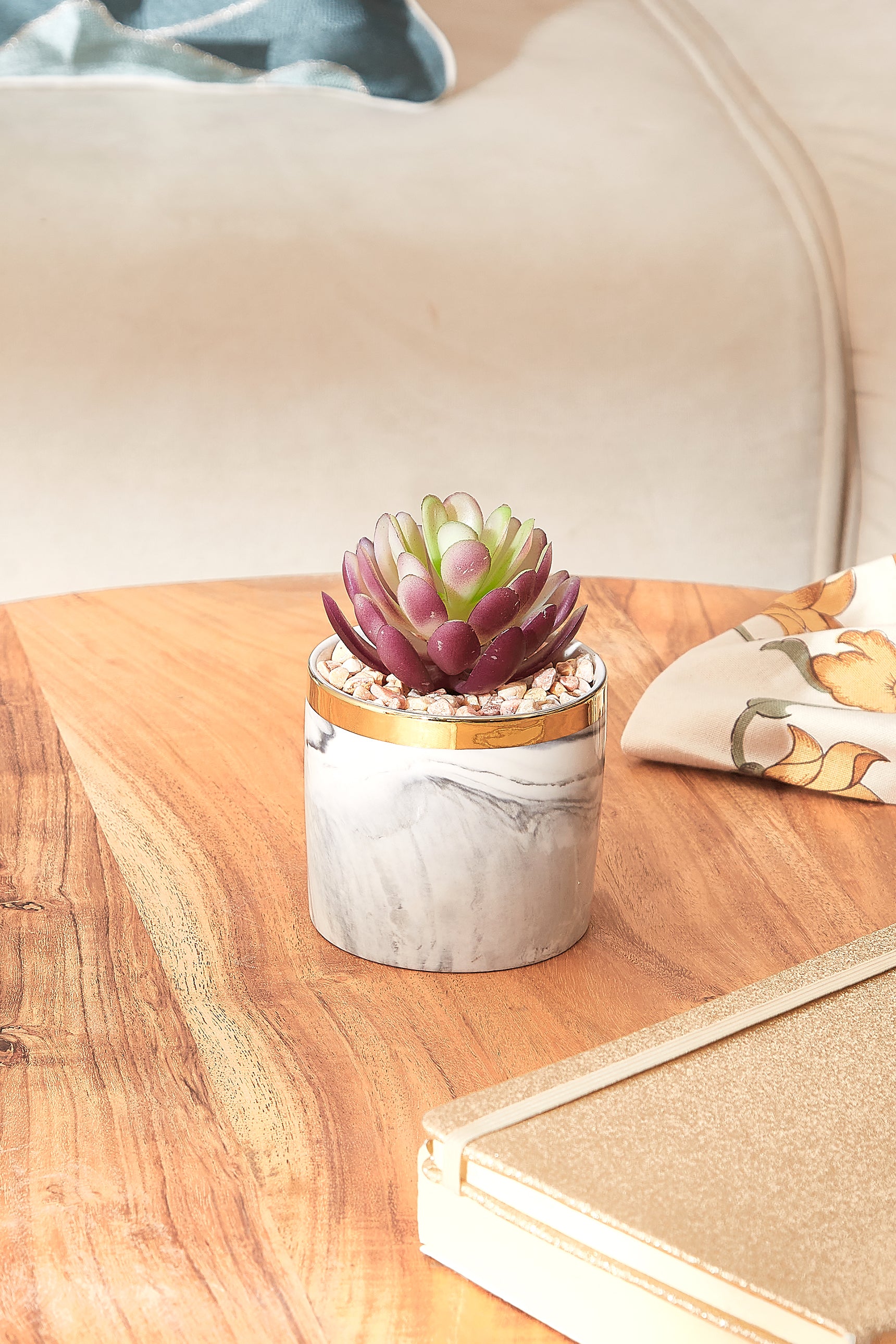 Swish Succulent With Gold Trim