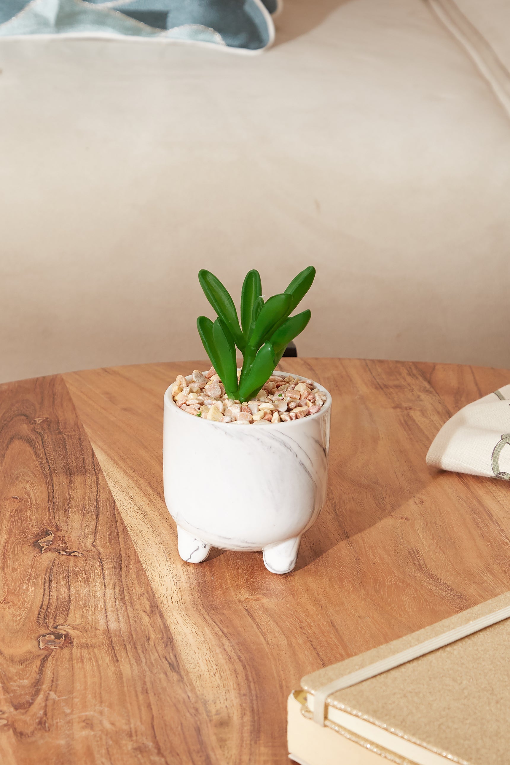 Ripple Succulent