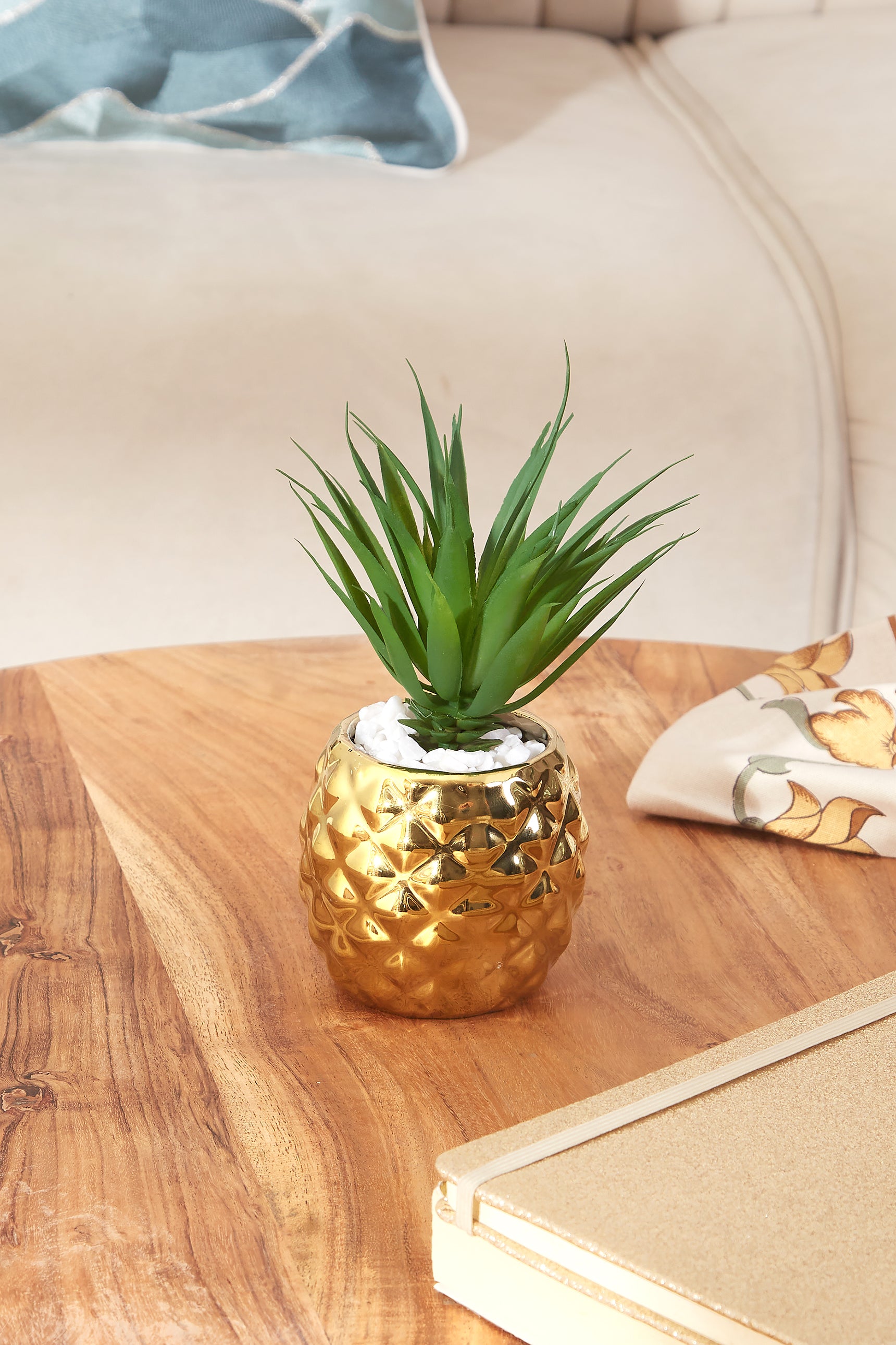 Pineapple Succulent
