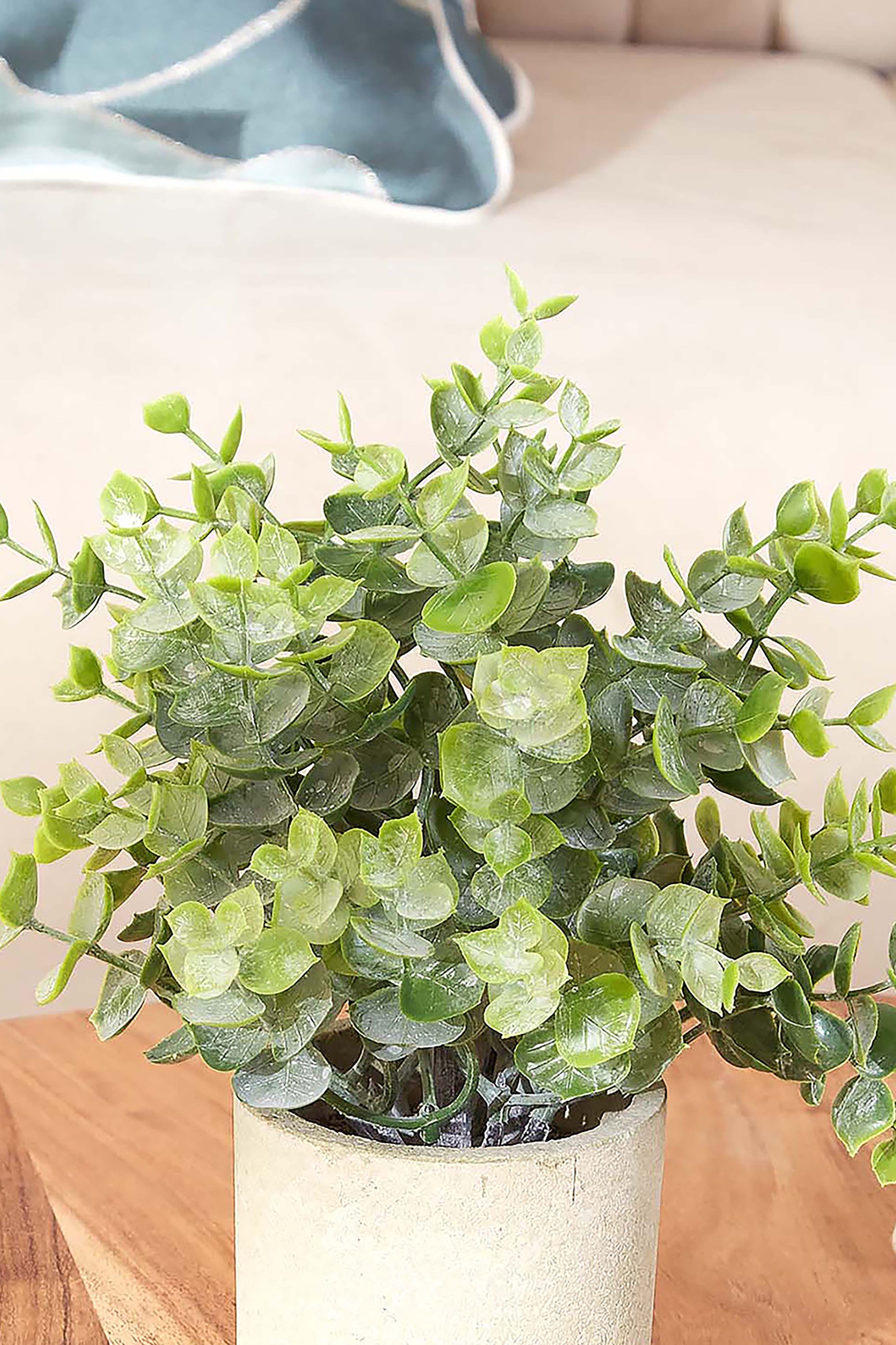 Artificial Eucalyptus Succulent With Concrete Pot