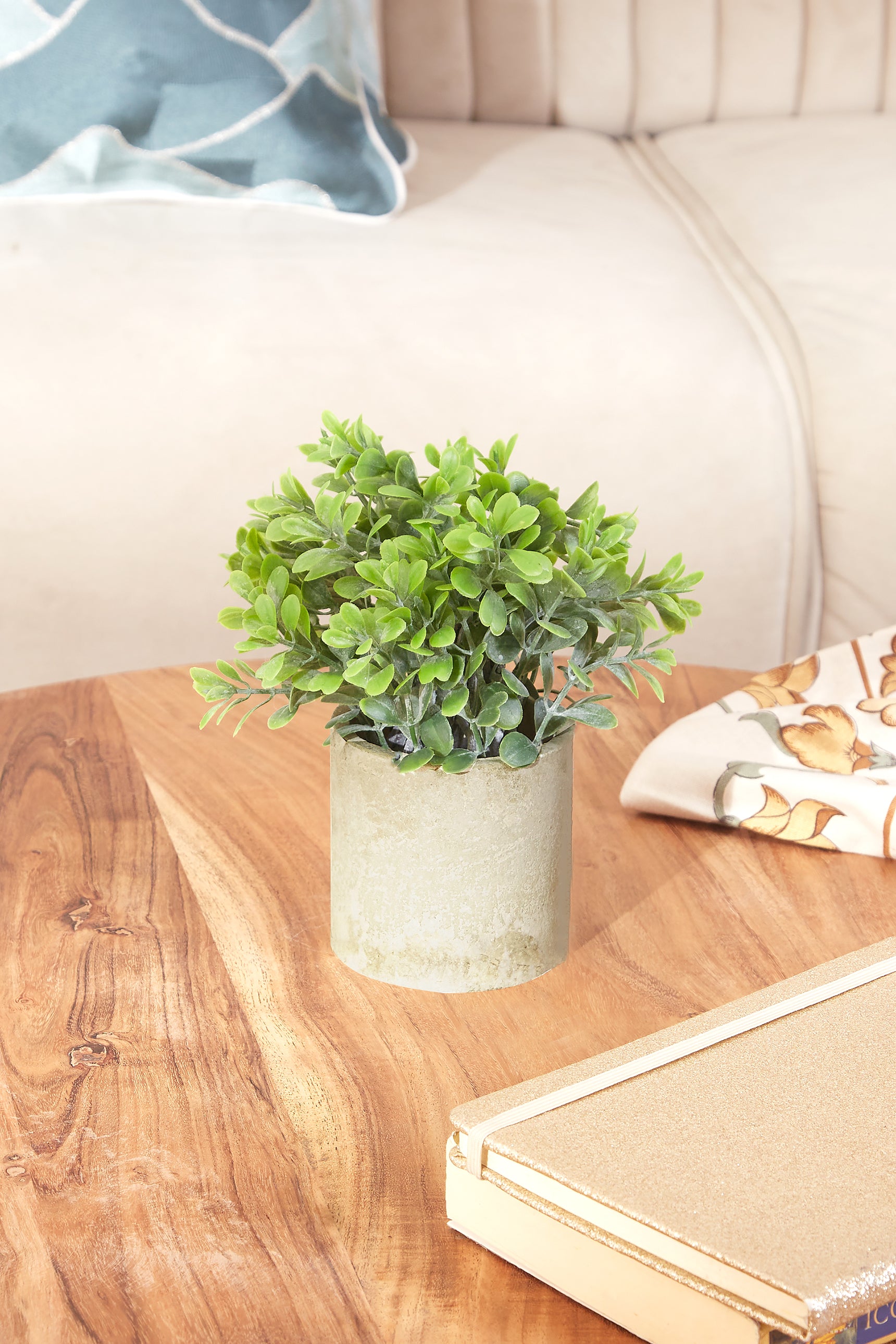 Artificial Bux Plant Succulent With Concrete Pot