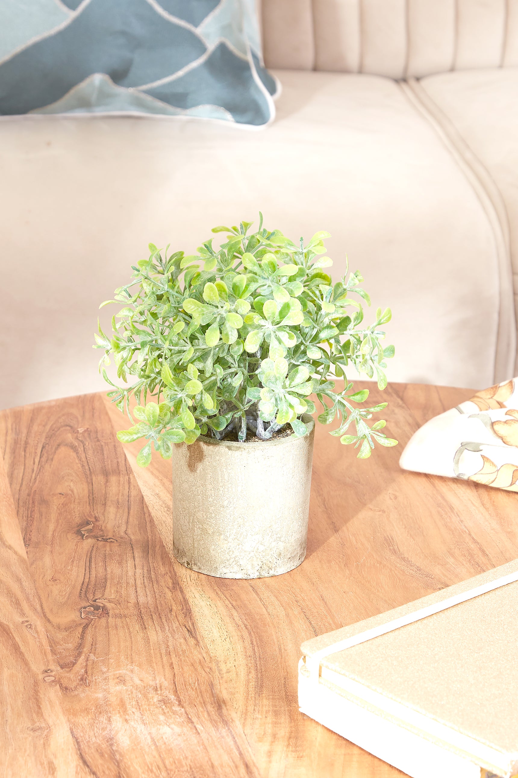 Artificial Sage Succulent With Concrete Pot