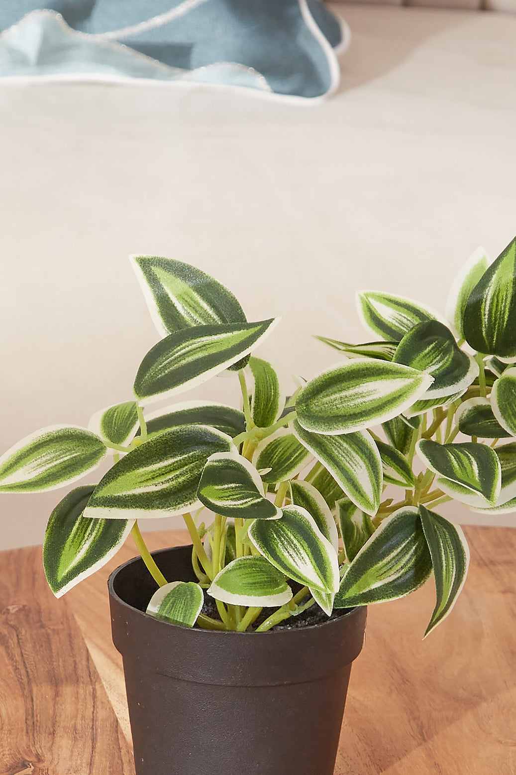 Artificial Green Zebrine Succulent