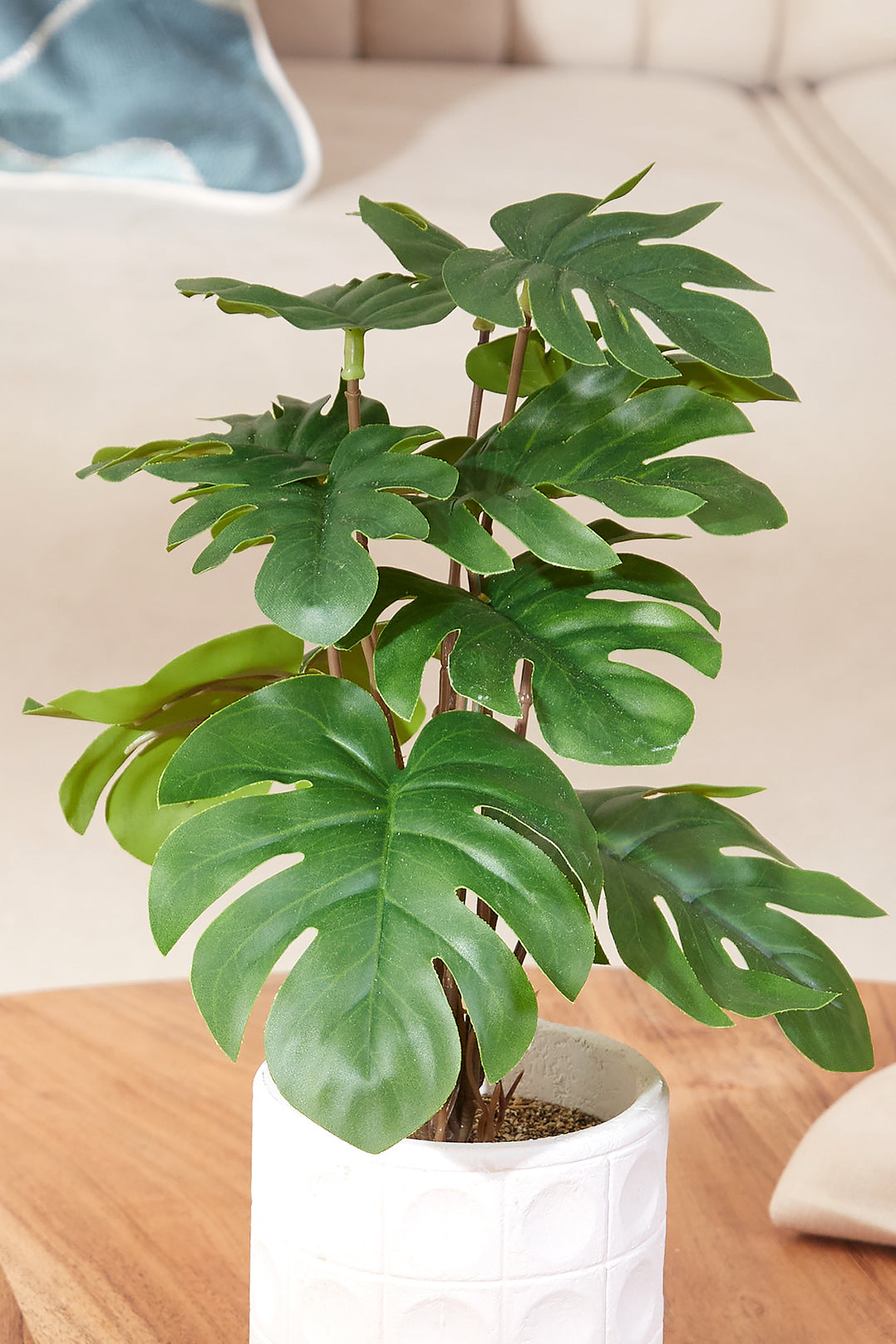 Arificial Monstera Succulent With White Pot