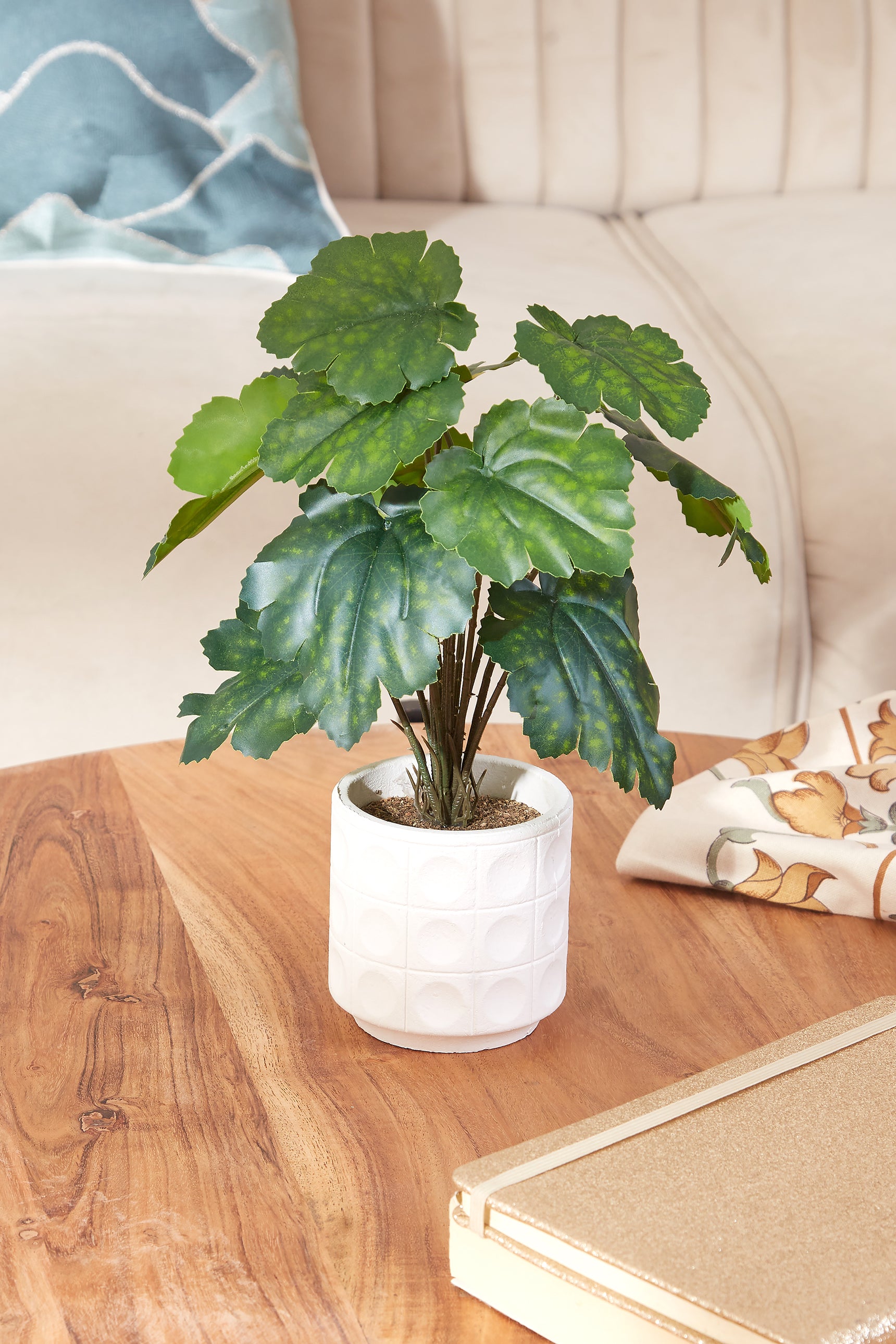 Artificial Spotted Philo Succulent With White Pot