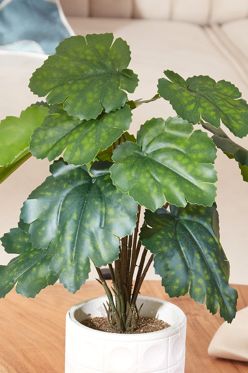 Artificial Spotted Philo Succulent With White Pot