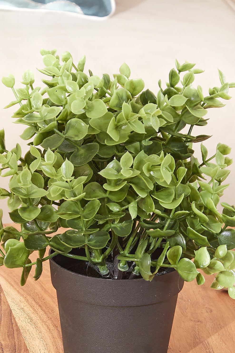Artificial Eucalyptus Potted Plant