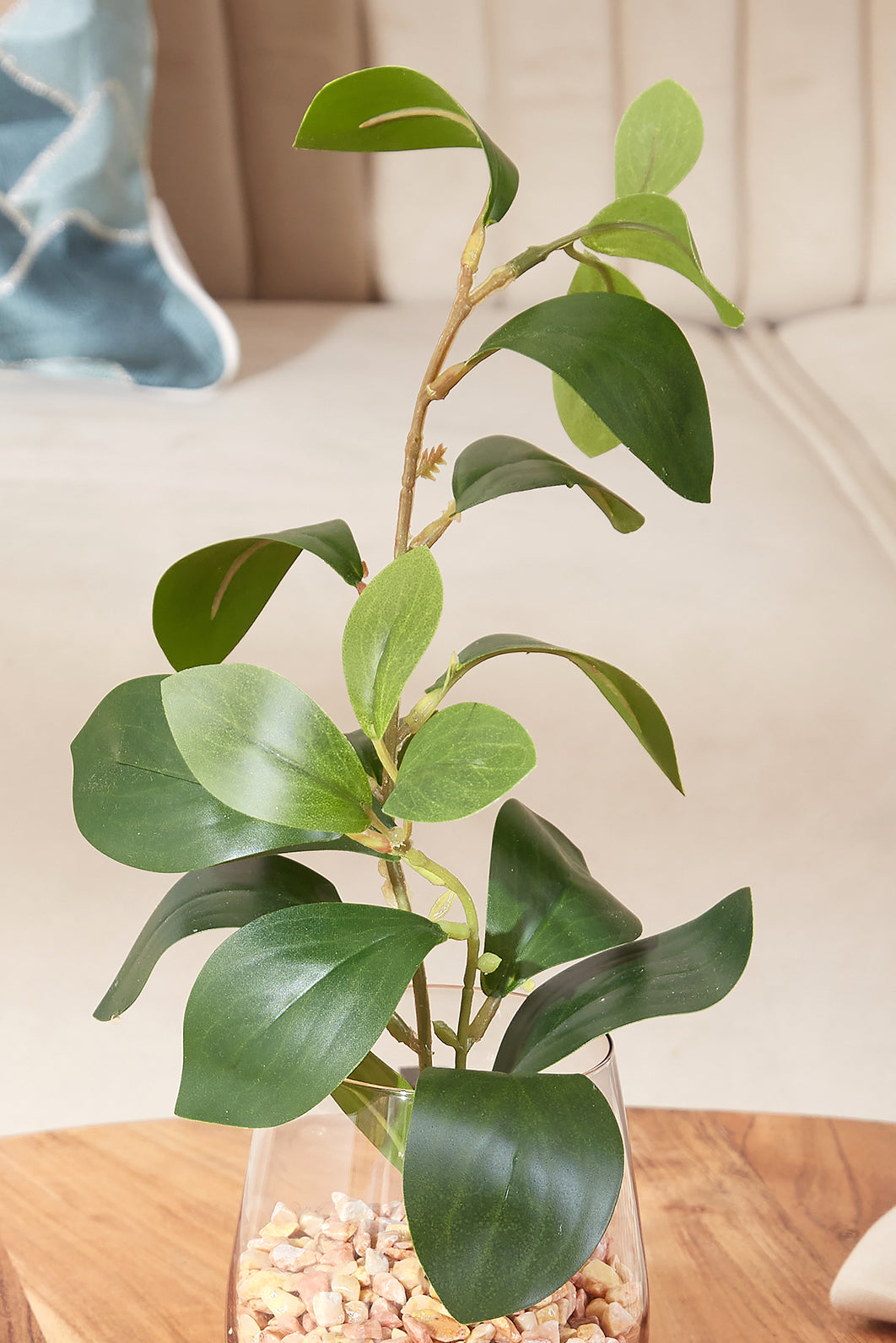 Gilded Glass Vase with Lemon Plant